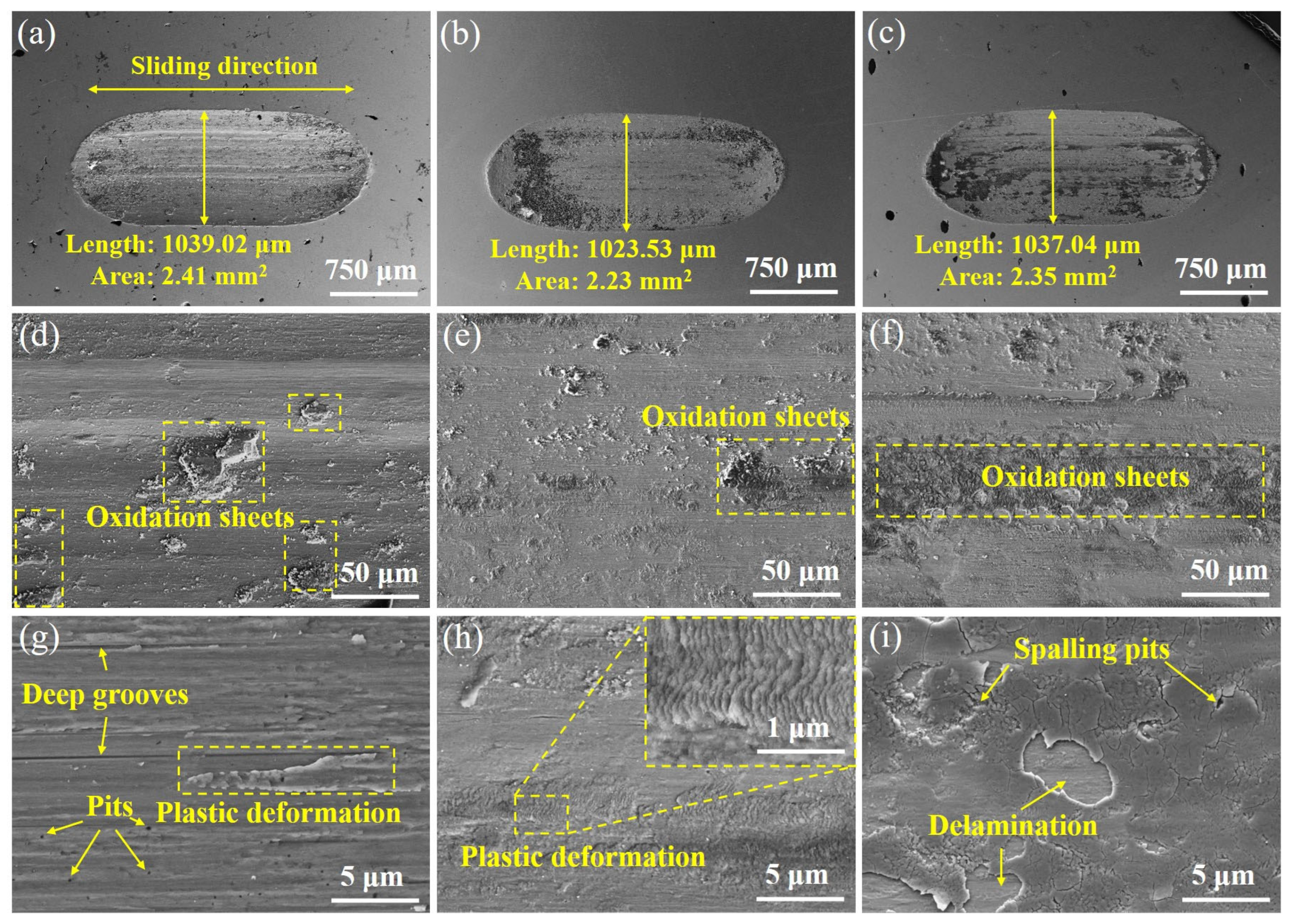 Entropy 27 00747 g006
