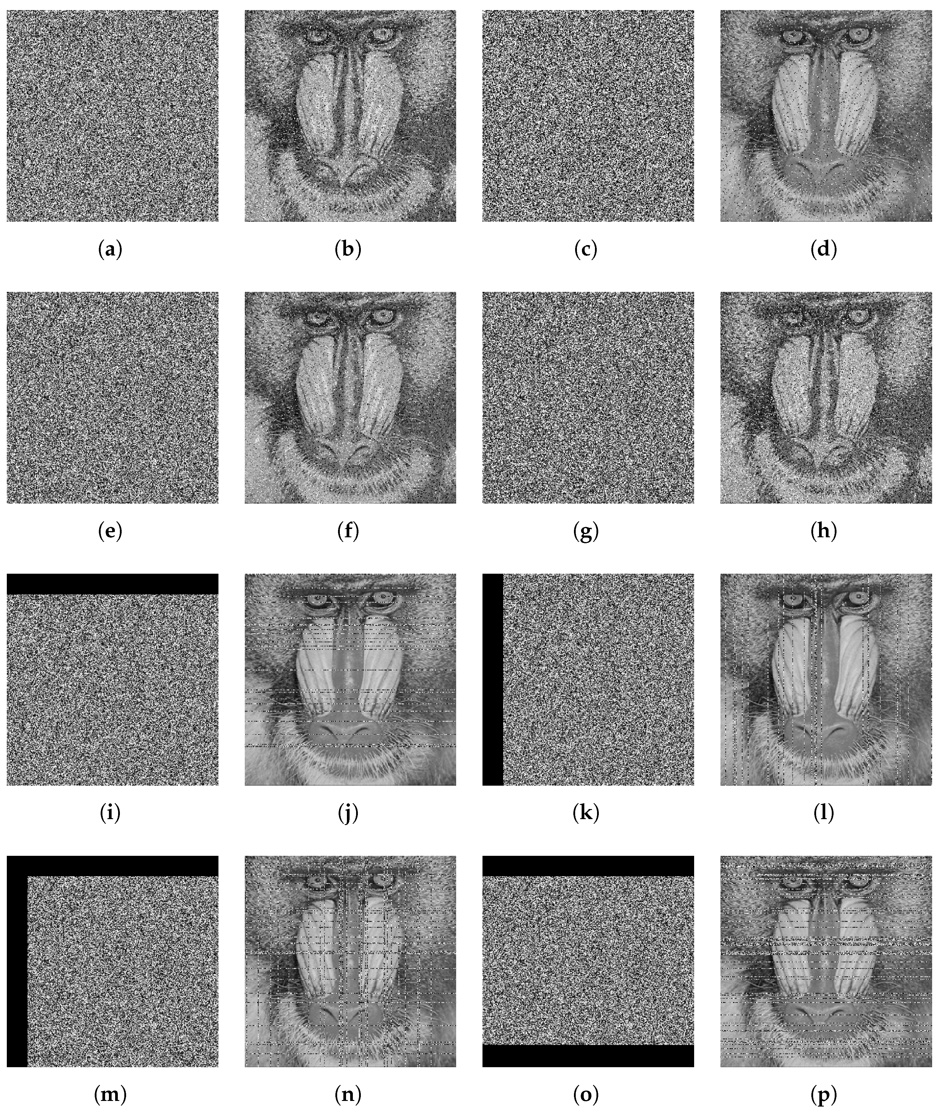 Entropy 27 00776 g012