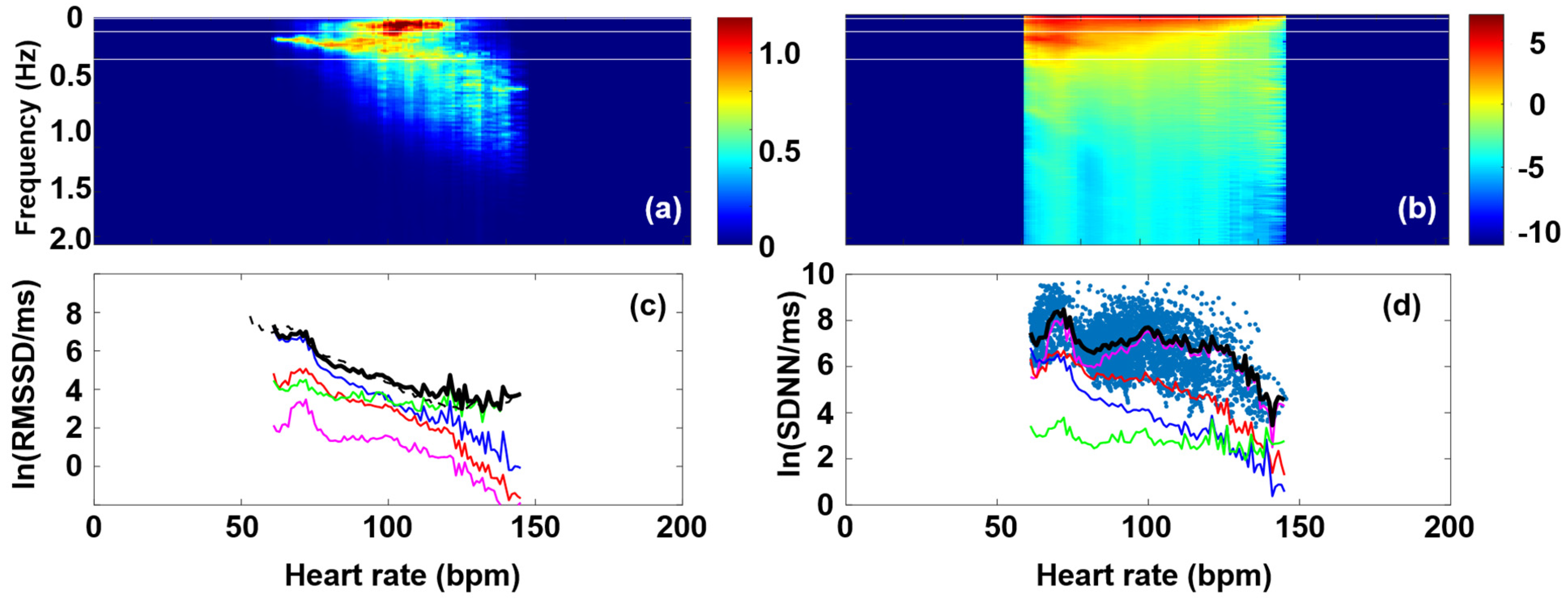 Entropy 27 00792 g005