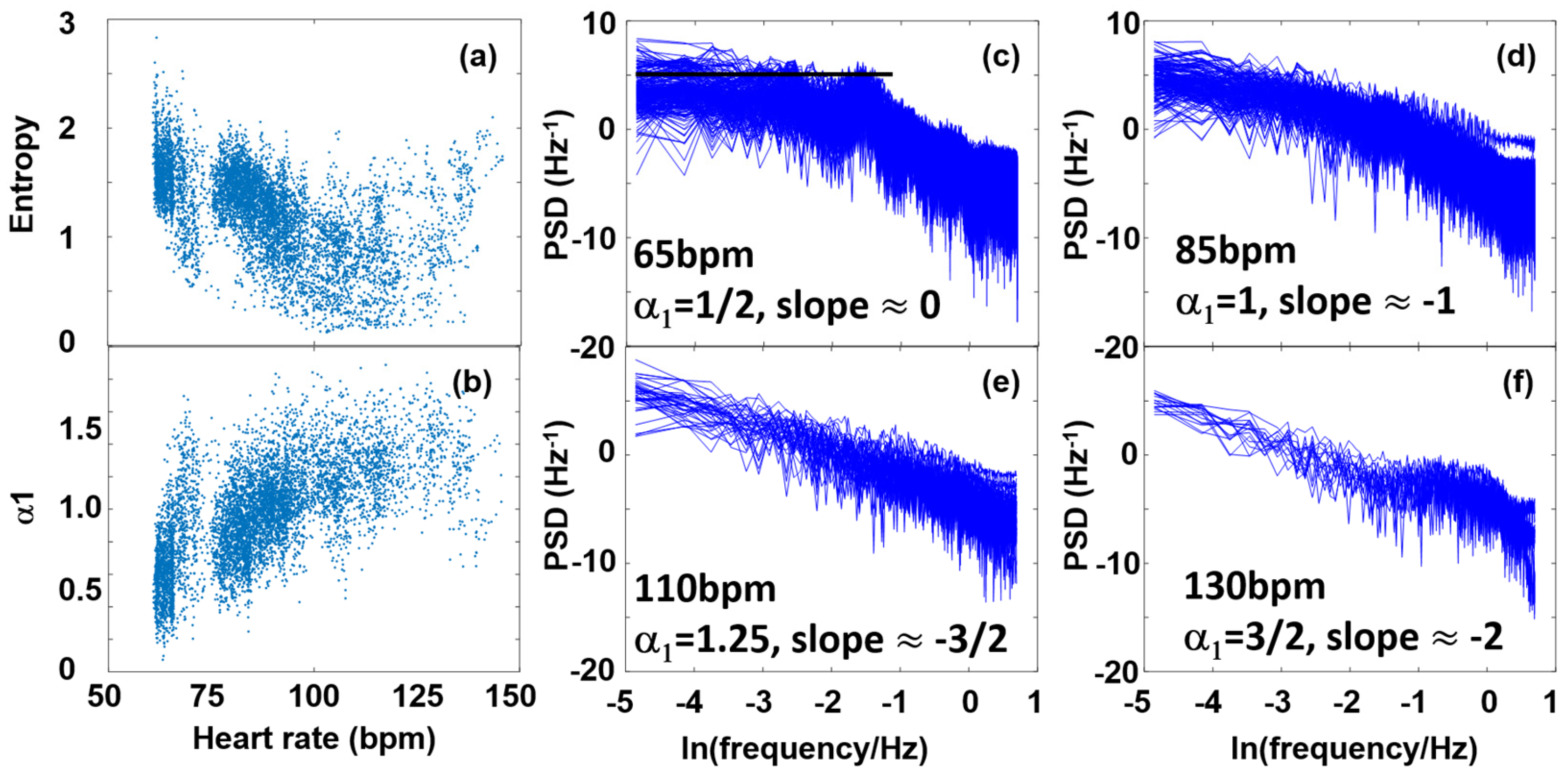 Entropy 27 00792 g006