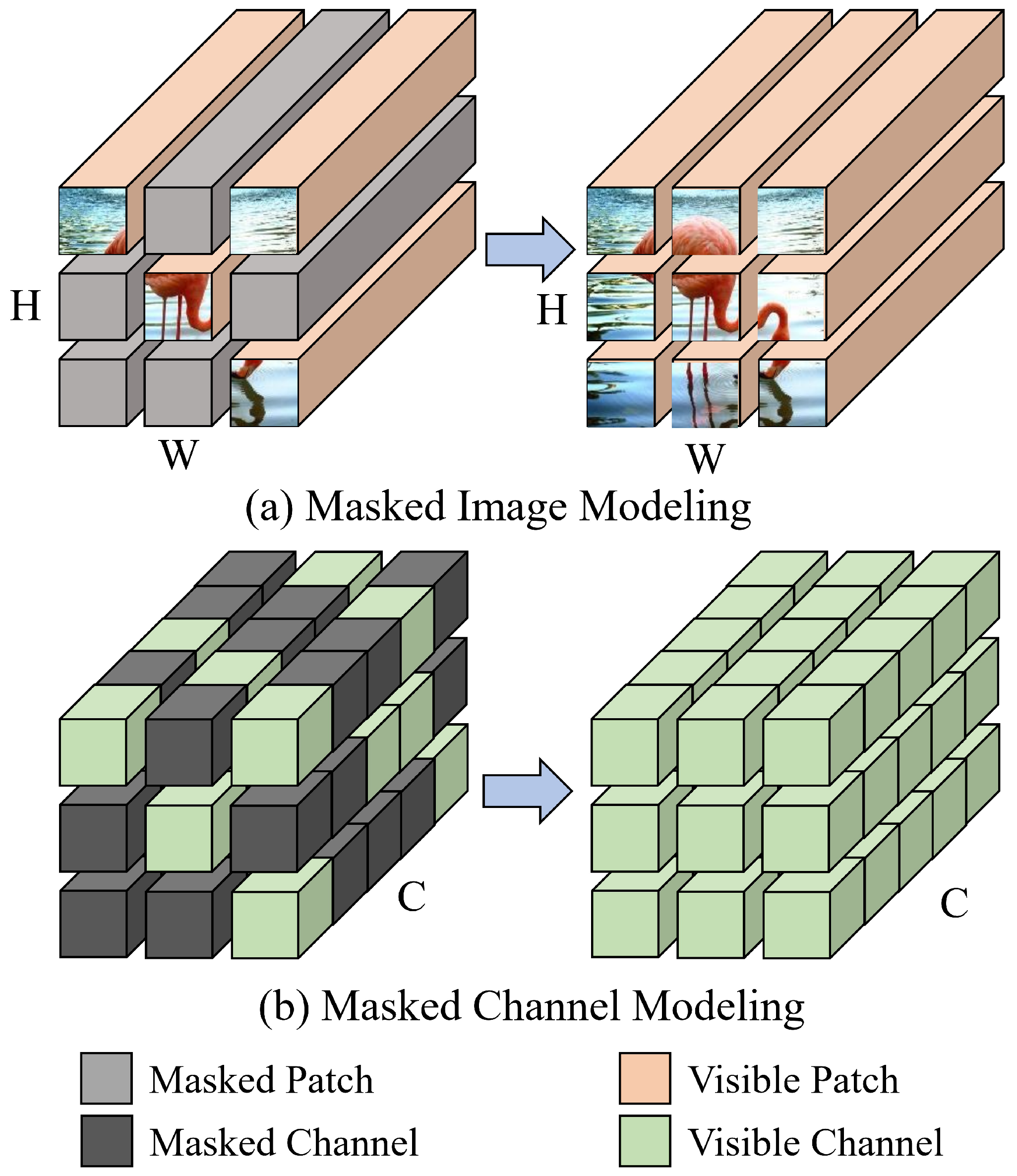 Entropy 27 00794 g001