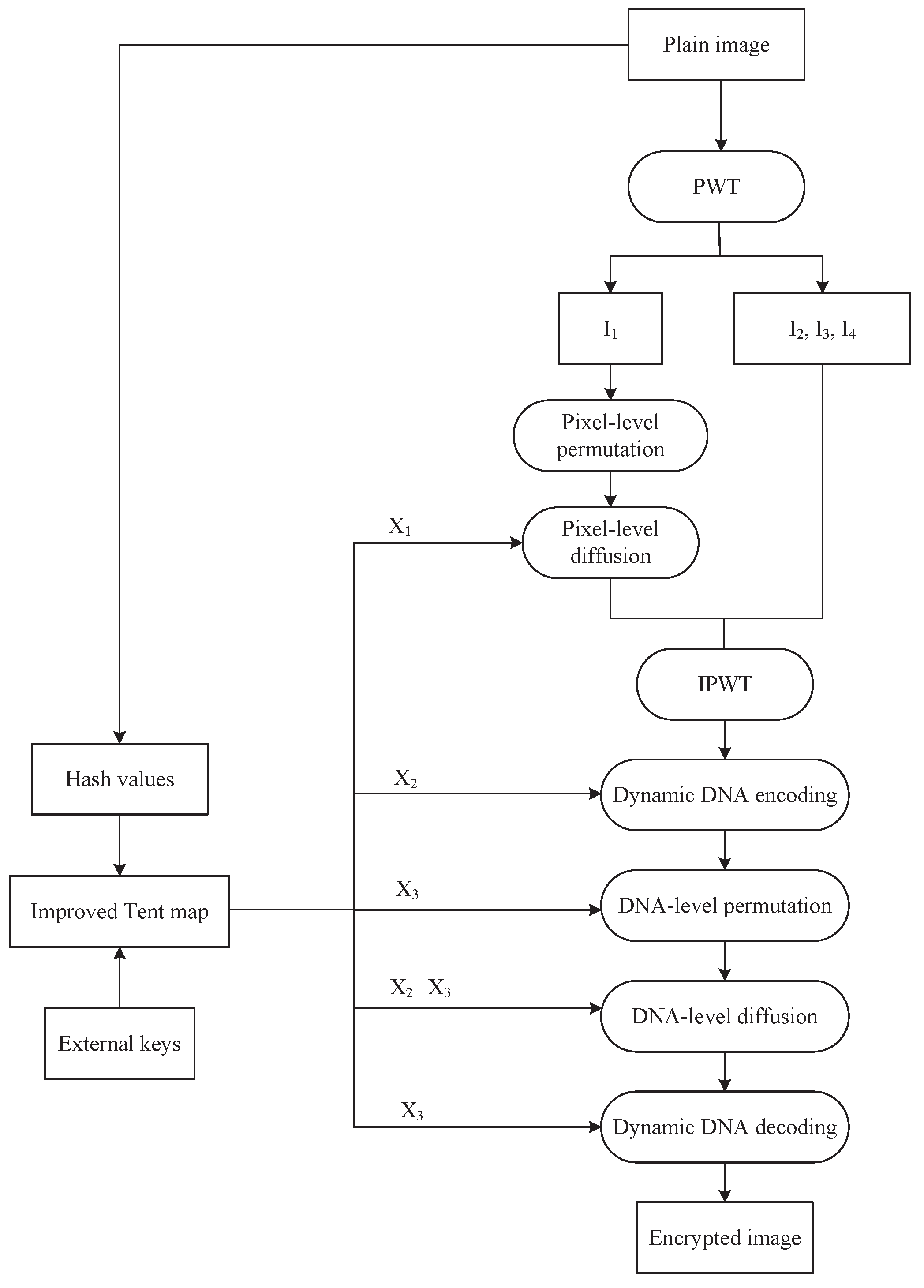 Entropy 27 00796 g010