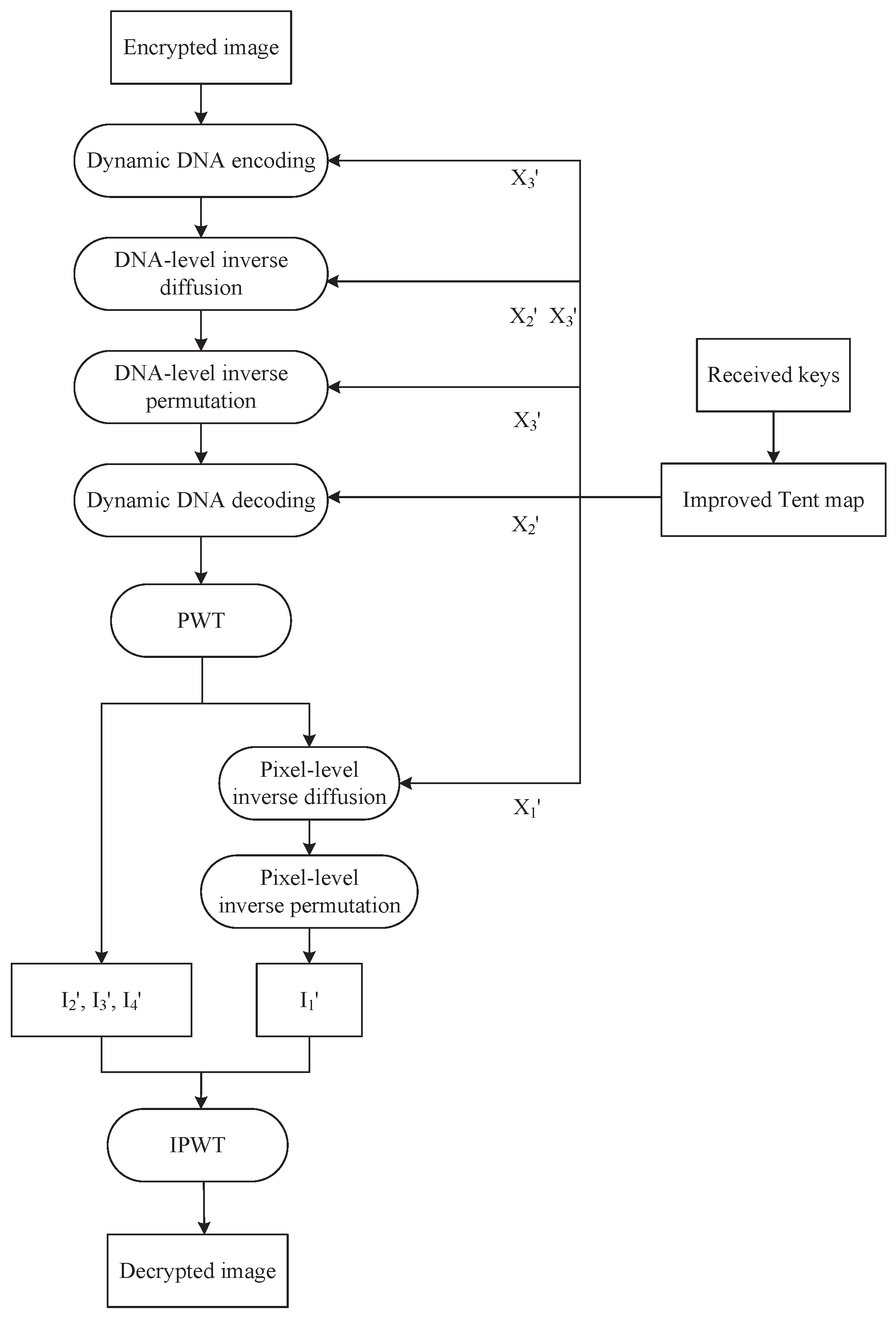 Entropy 27 00796 g011
