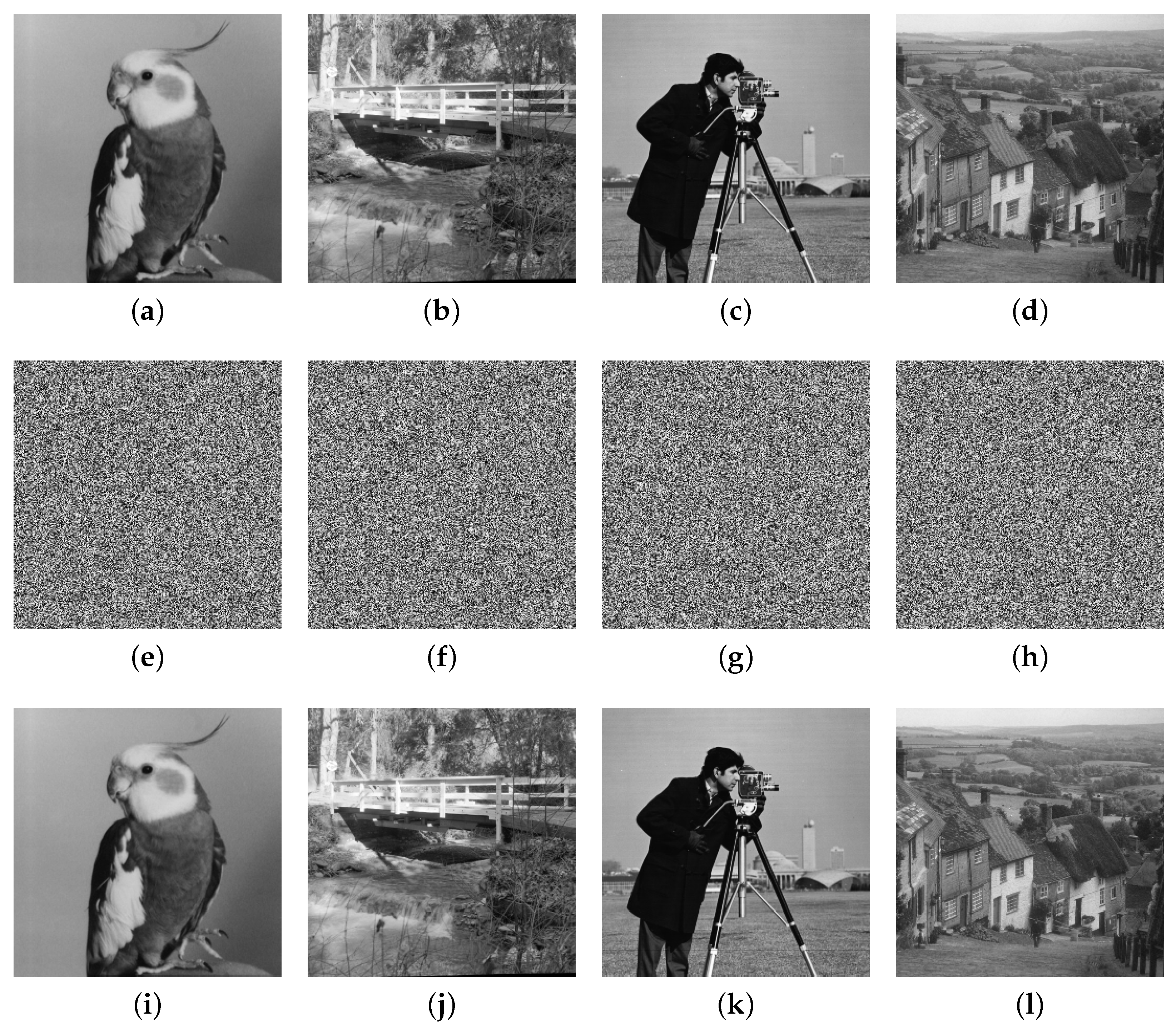 Entropy 27 00796 g012