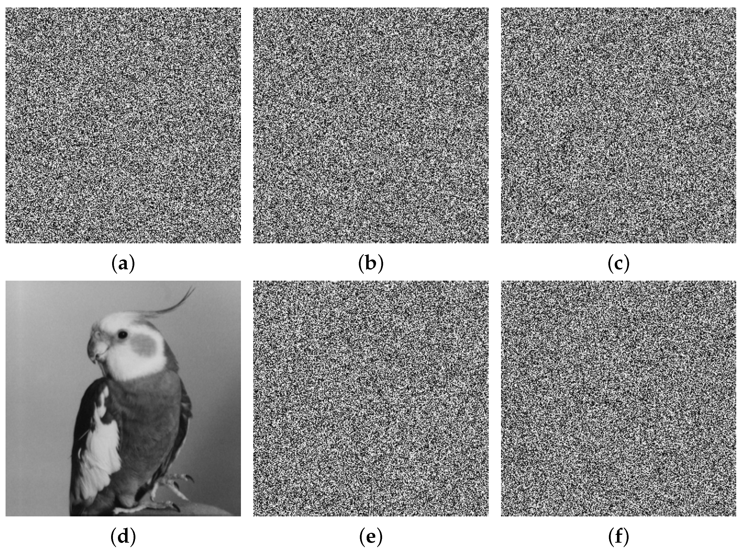 Entropy 27 00796 g013