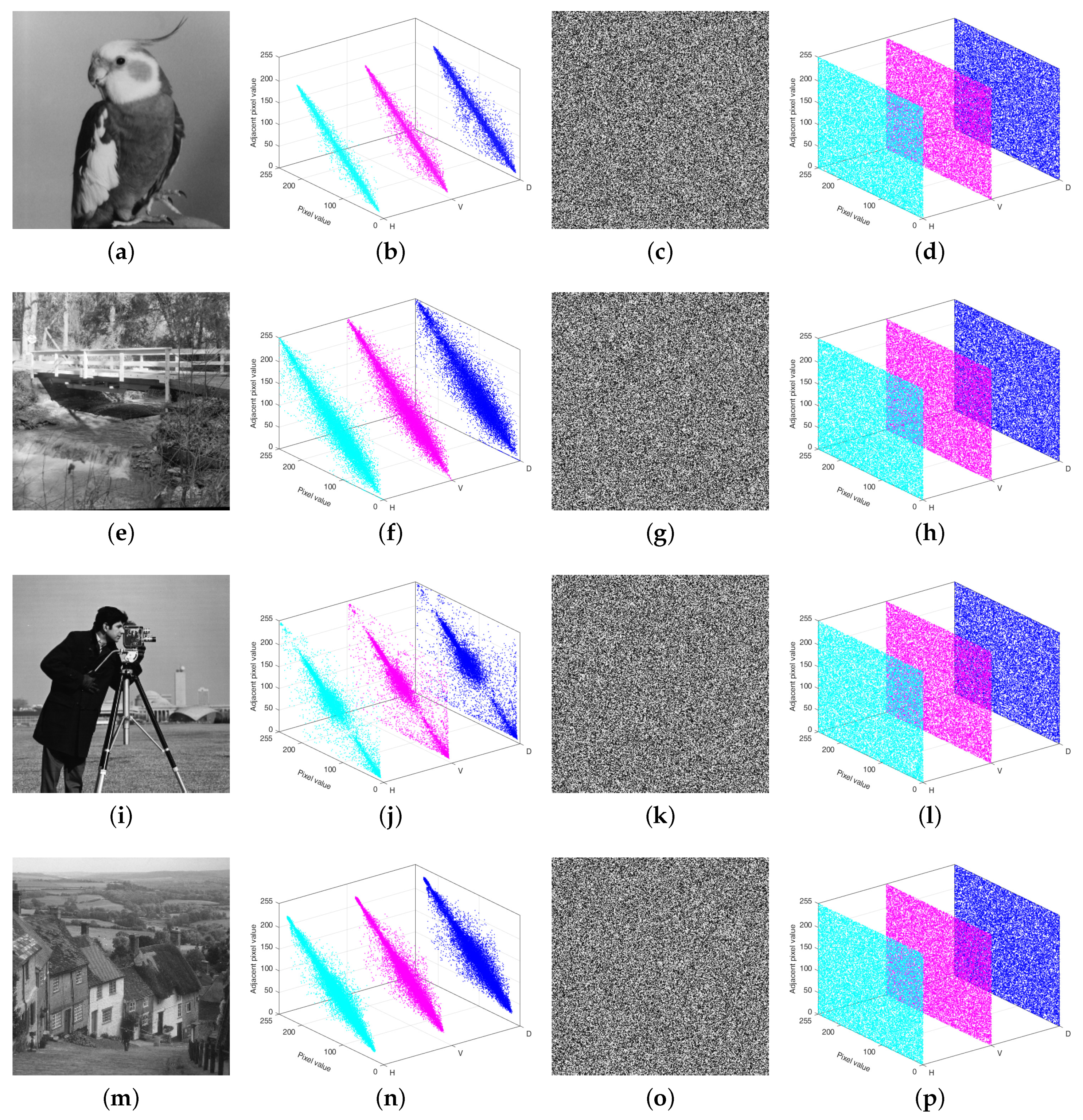 Entropy 27 00796 g015