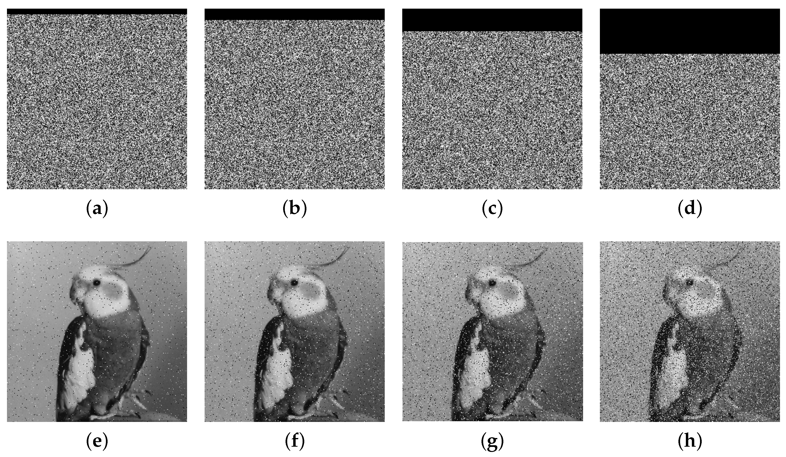 Entropy 27 00796 g016