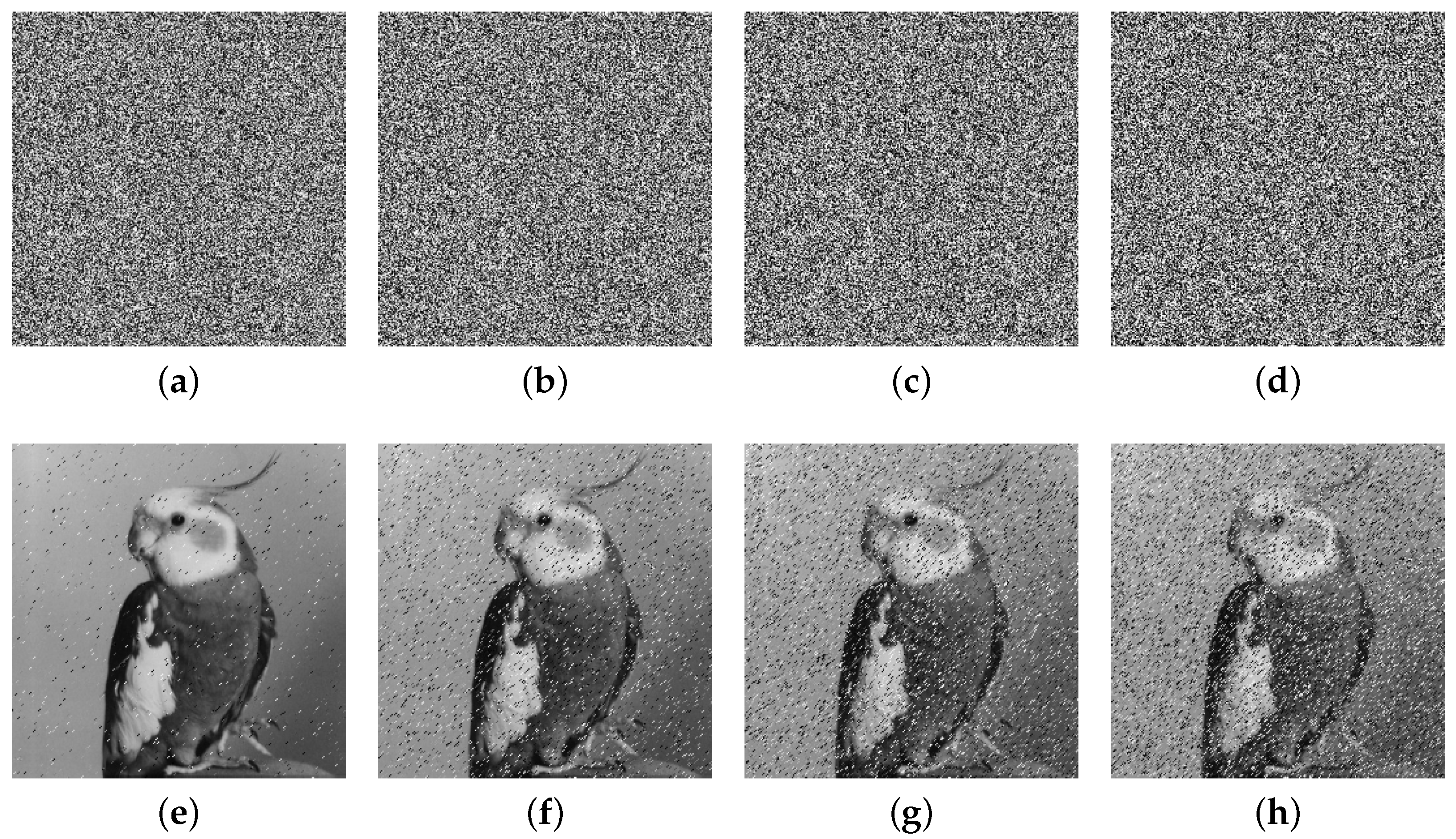 Entropy 27 00796 g017