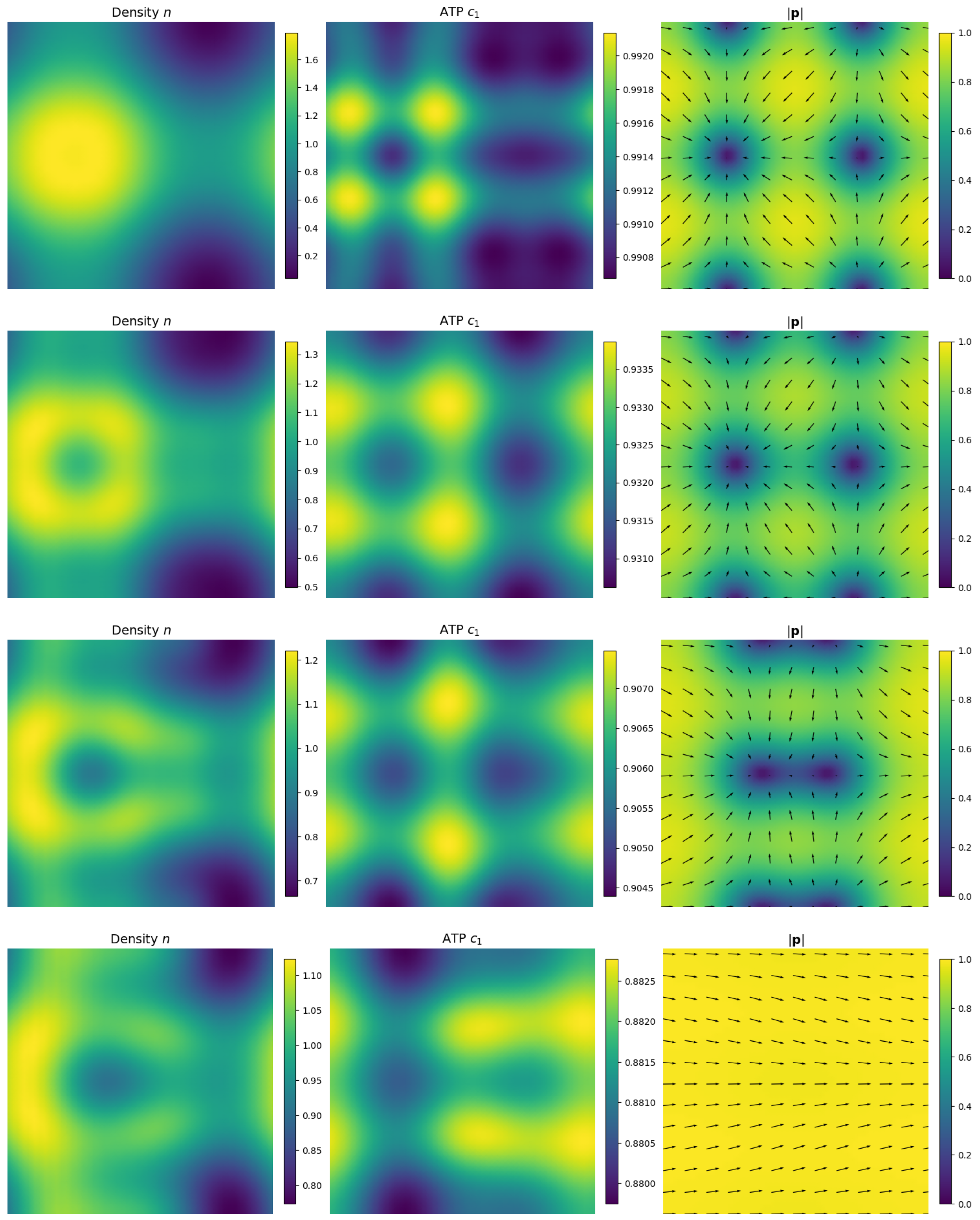 Entropy 27 00801 g001