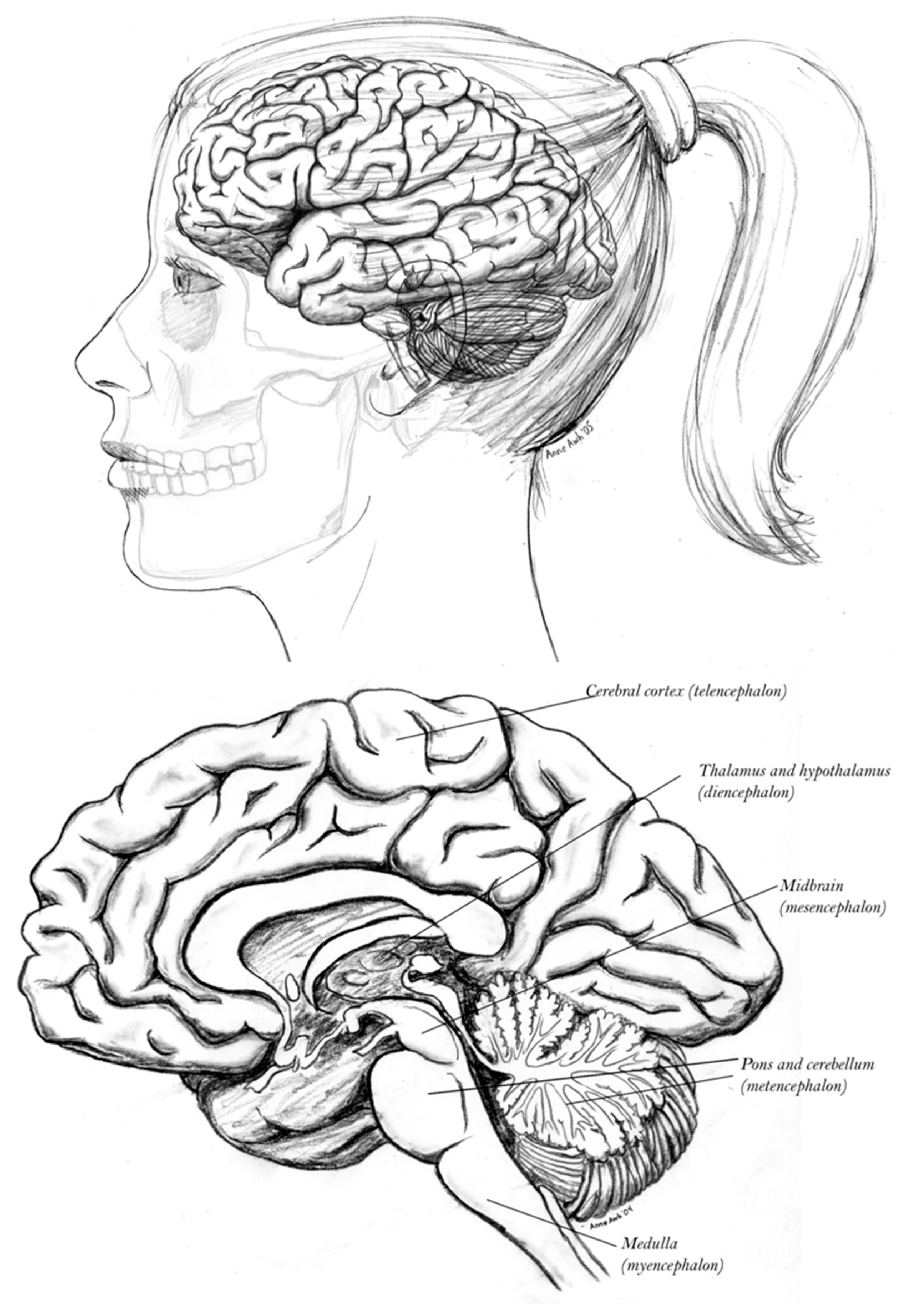 Entropy 27 00829 g001 Entropy 27 00829 g001