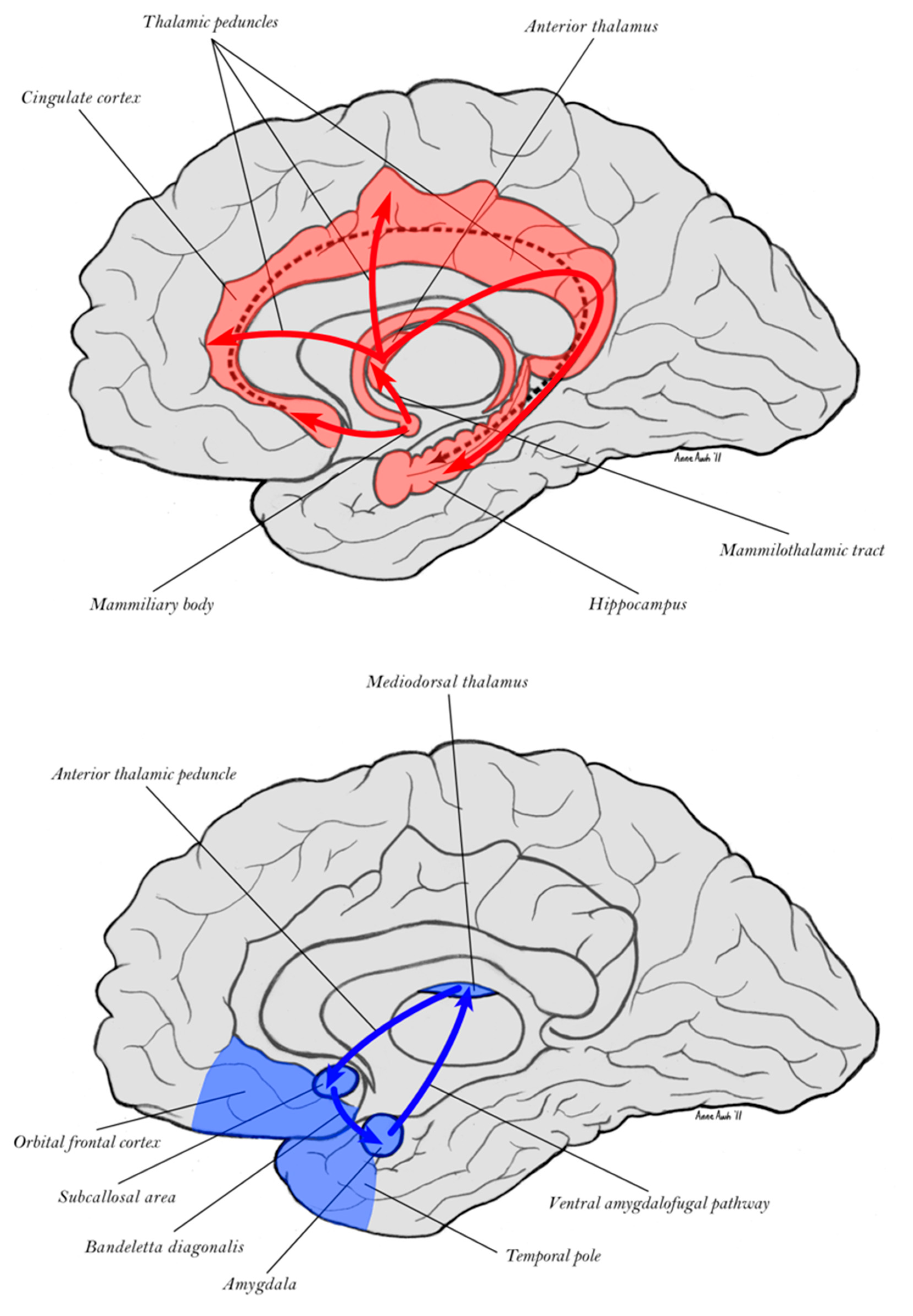 Entropy 27 00829 g003 Entropy 27 00829 g003