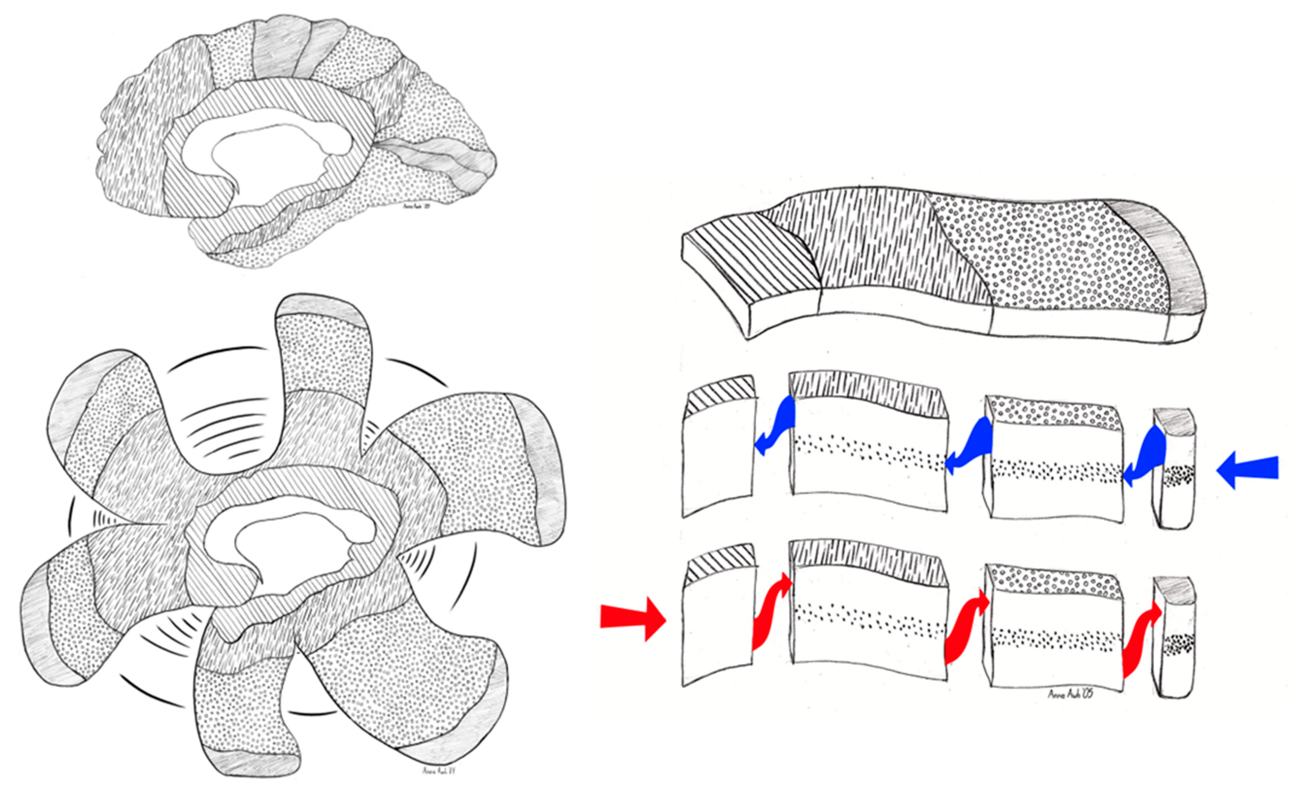 Entropy 27 00829 g005 Entropy 27 00829 g005