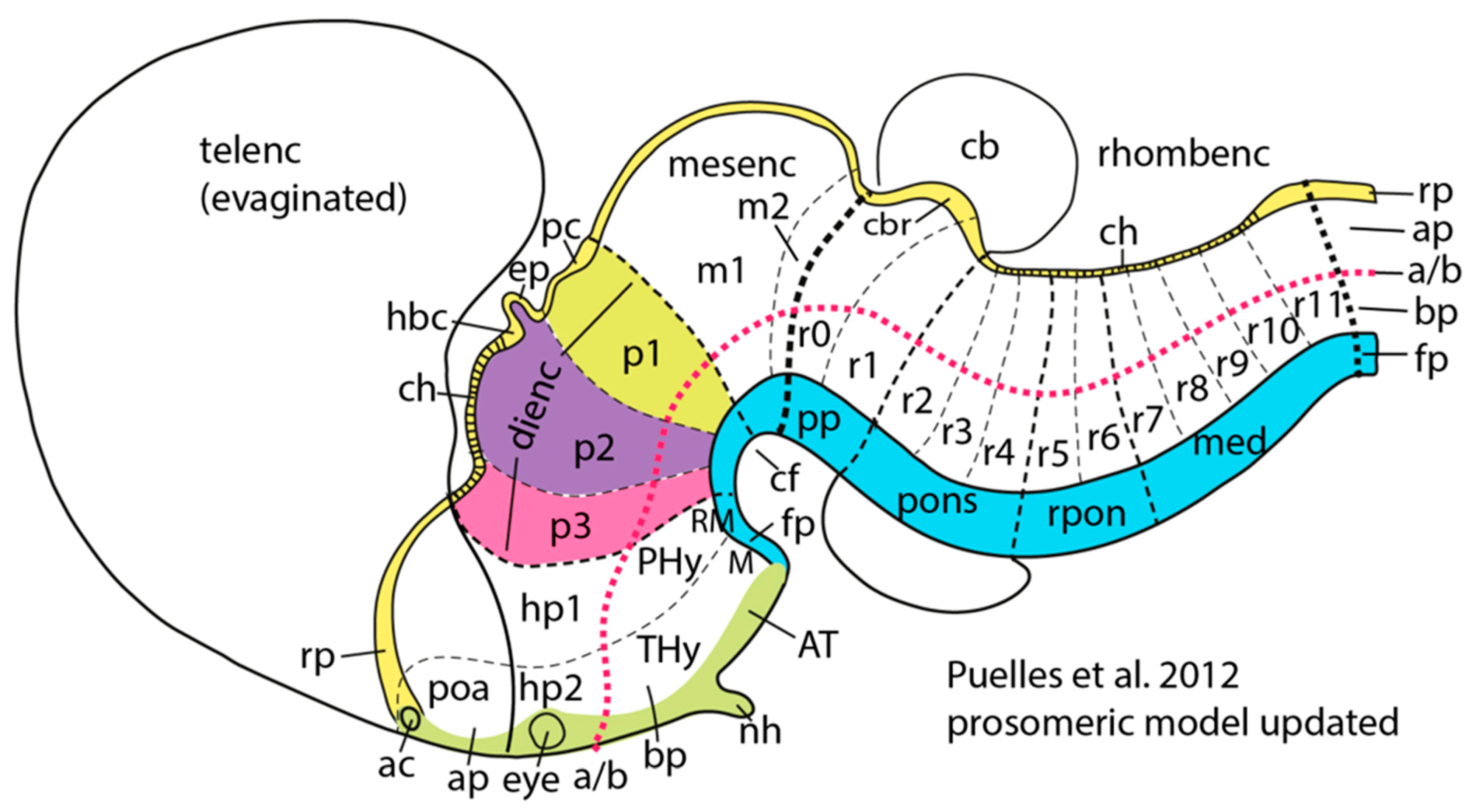 Entropy 27 00829 g006 Entropy 27 00829 g006
