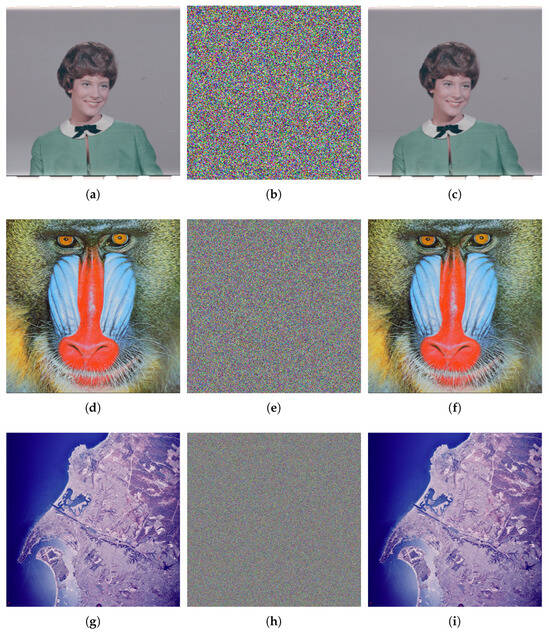 Weighted Color Image Encryption Algorithm Based on RNA