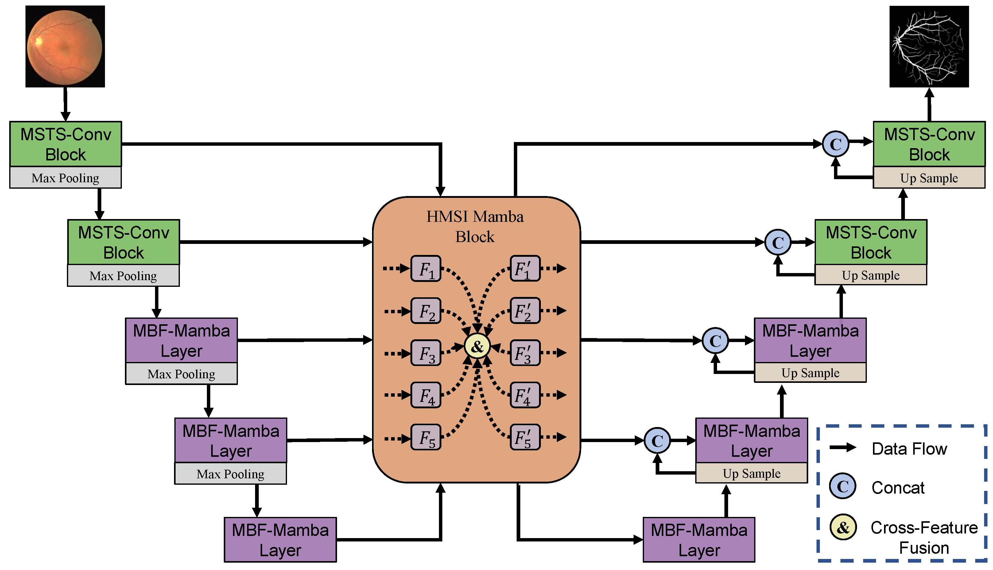 Entropy 27 00862 g001