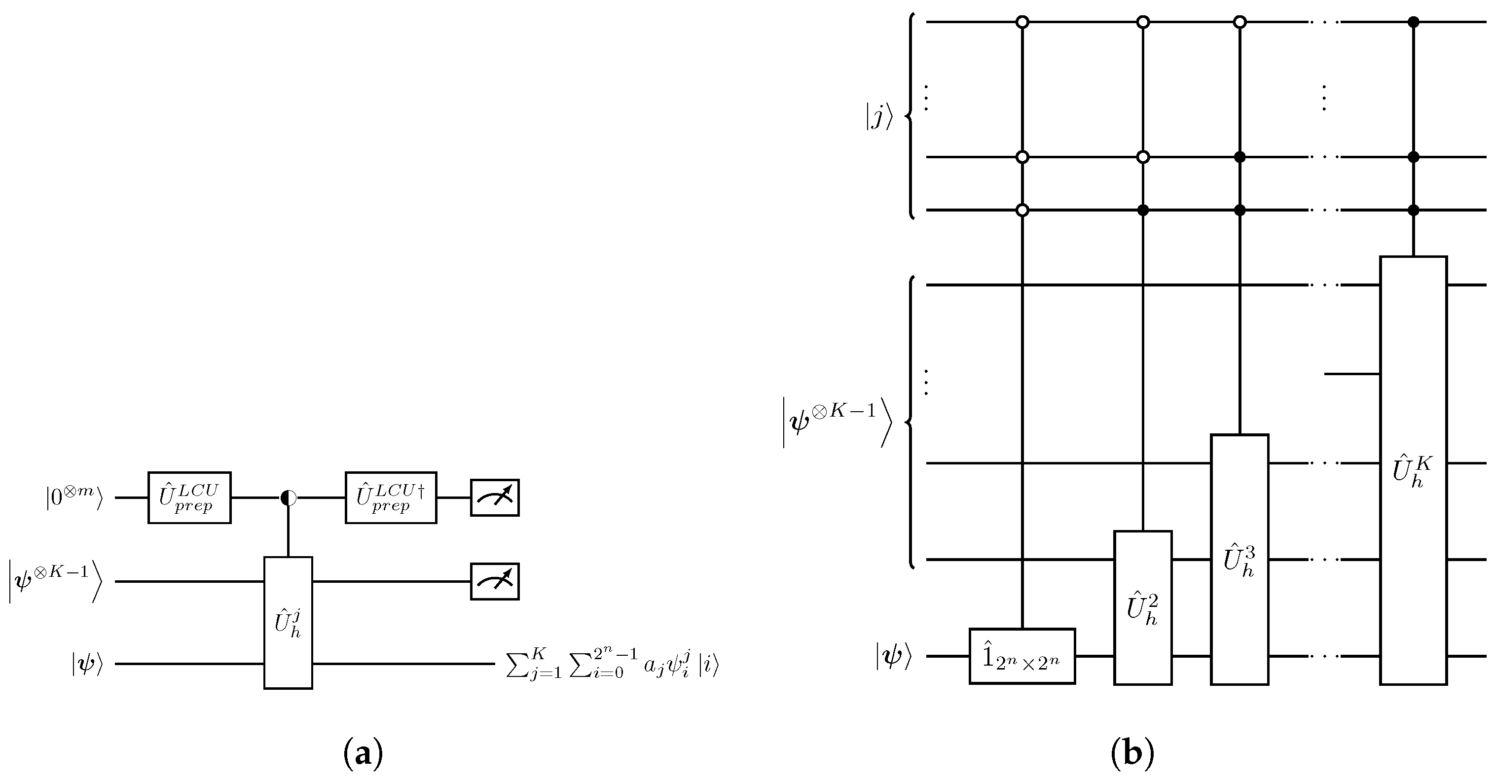 Entropy 27 00871 g003 Entropy 27 00871 g003