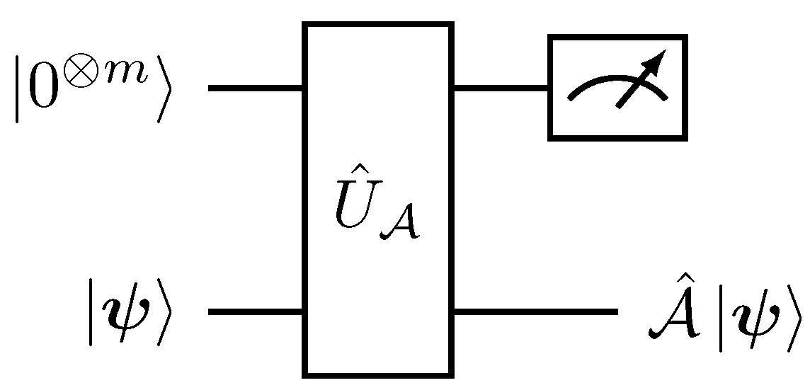 Entropy 27 00871 g005 Entropy 27 00871 g005