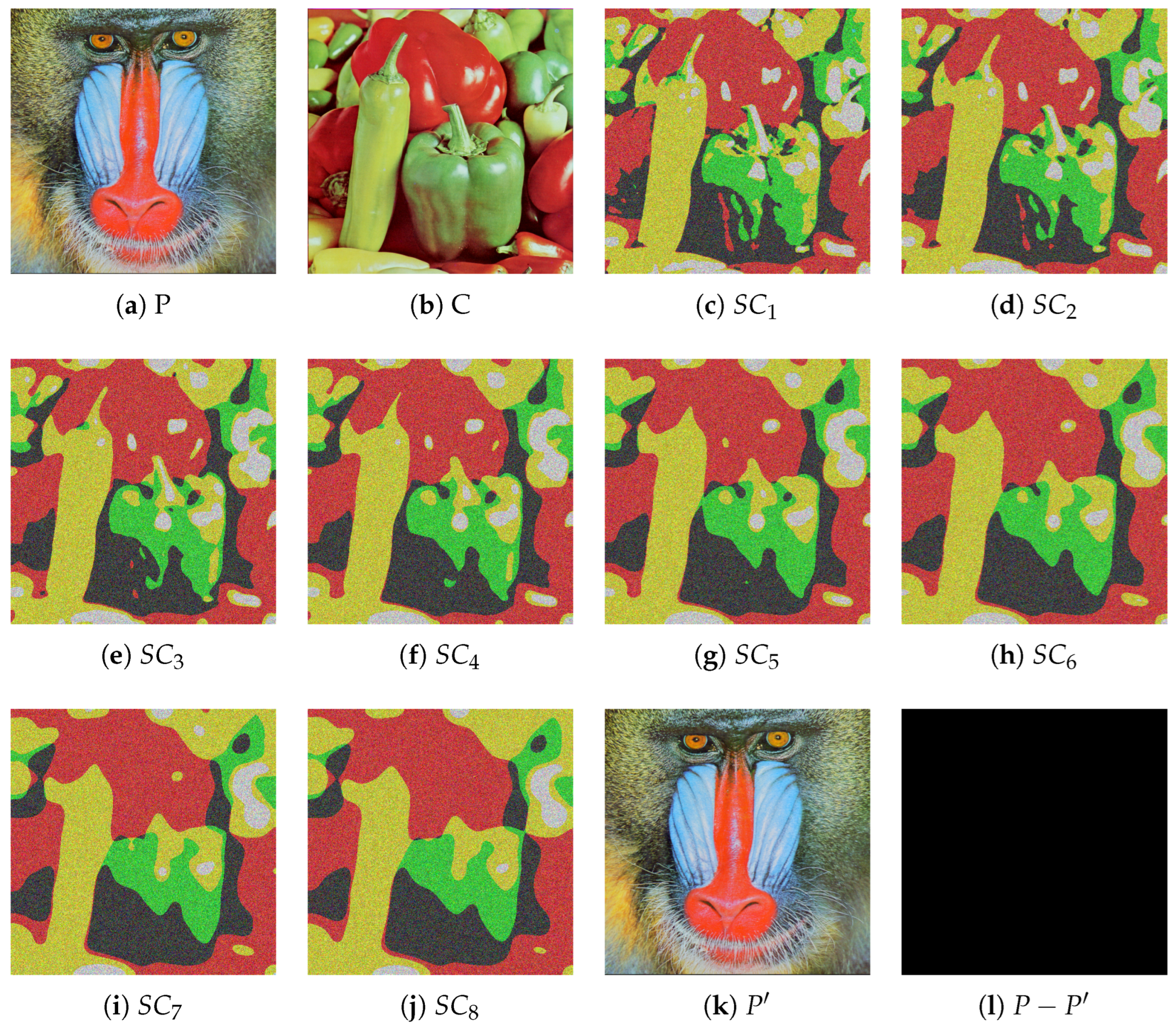 Entropy 27 00893 g005