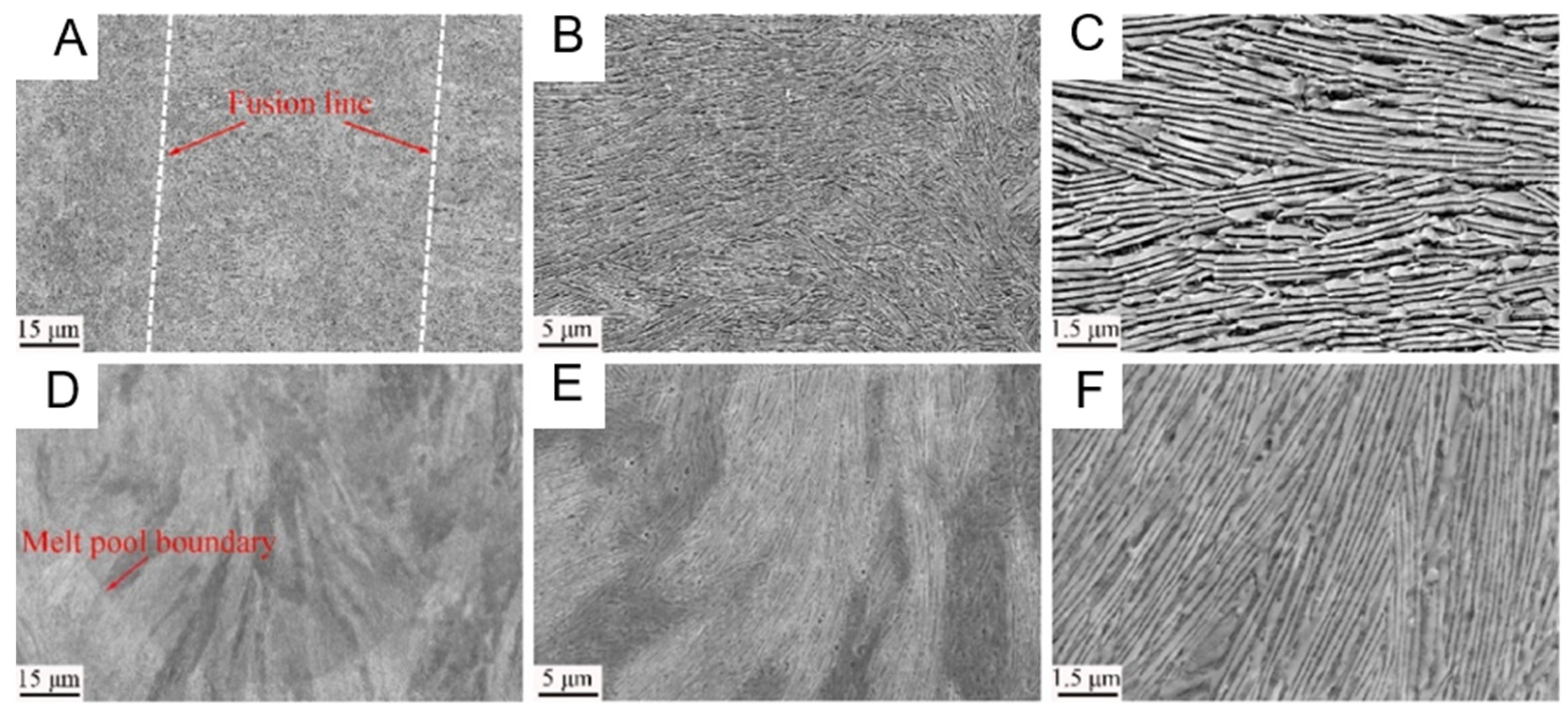 Entropy 27 00917 g004 Entropy 27 00917 g004