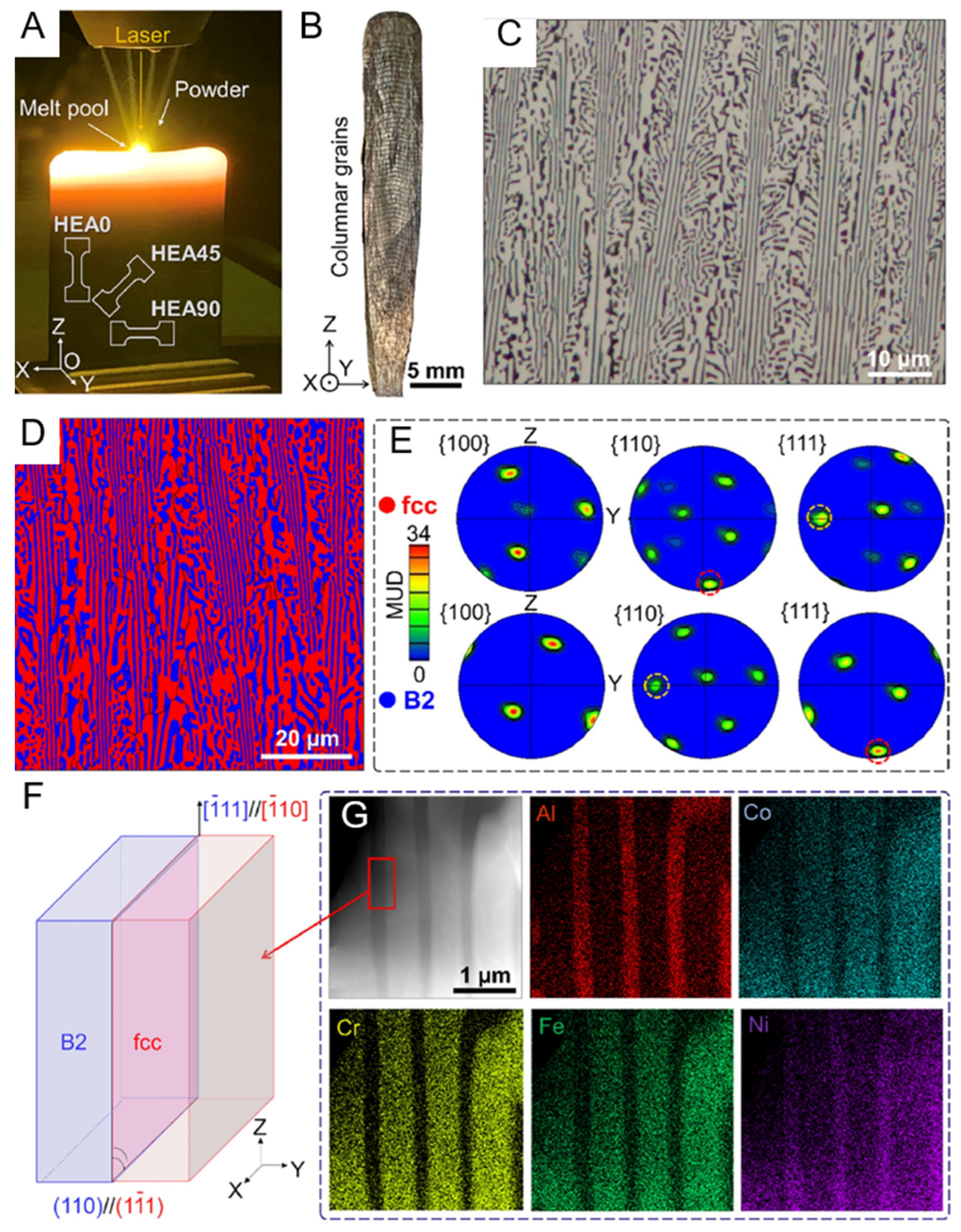 Entropy 27 00917 g005 Entropy 27 00917 g005