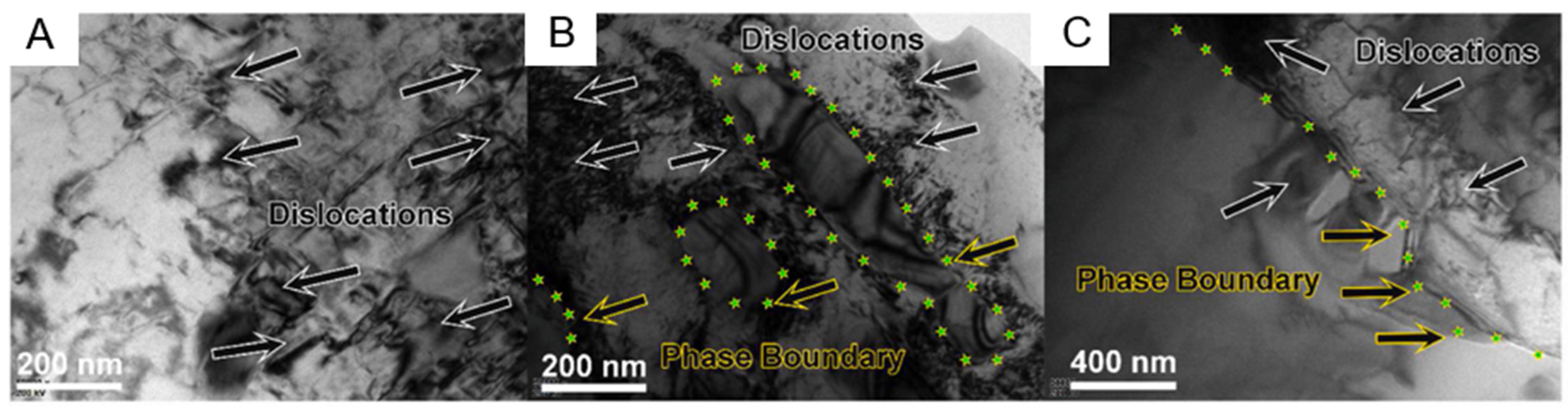 Entropy 27 00917 g009 Entropy 27 00917 g009