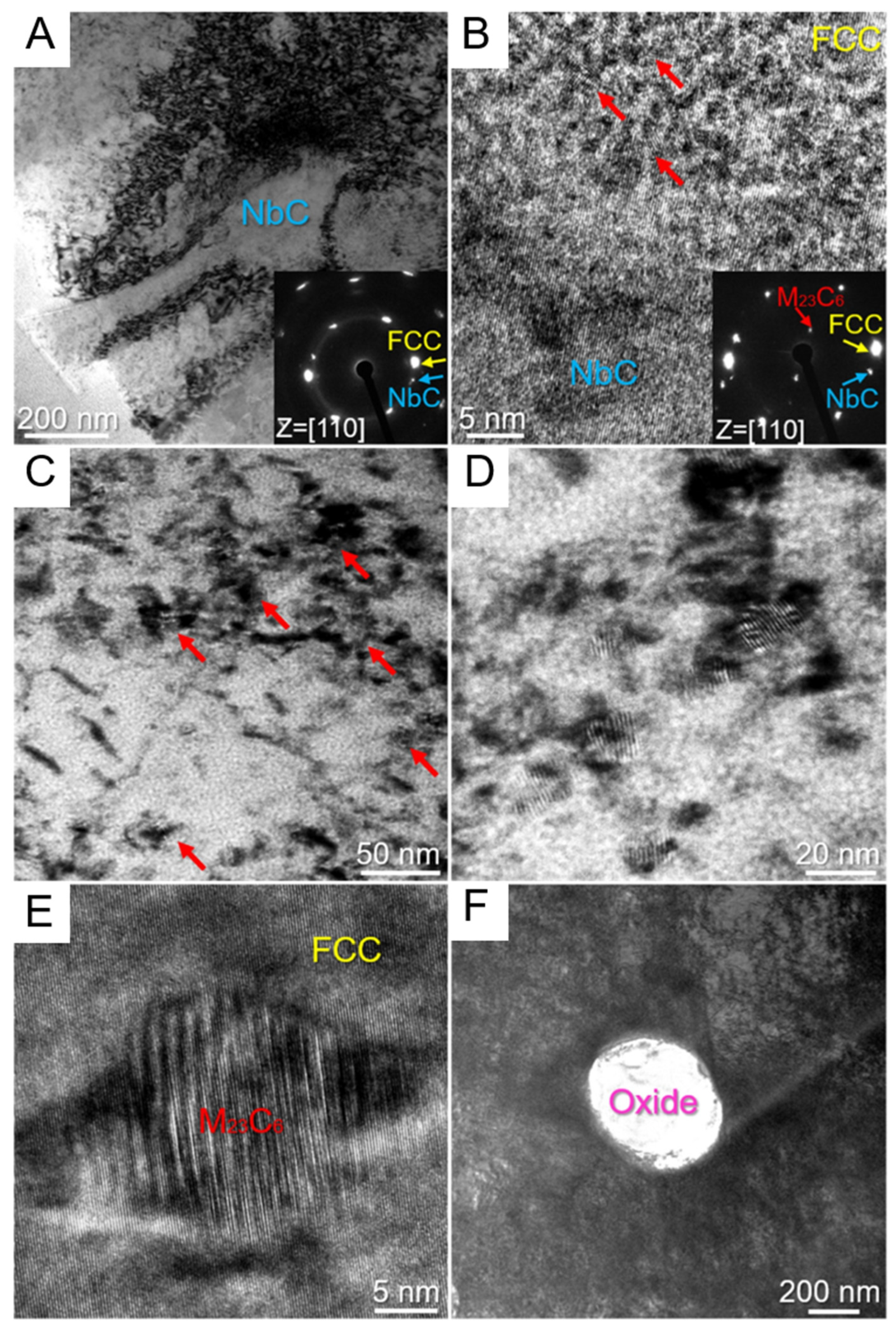 Entropy 27 00917 g017 Entropy 27 00917 g017