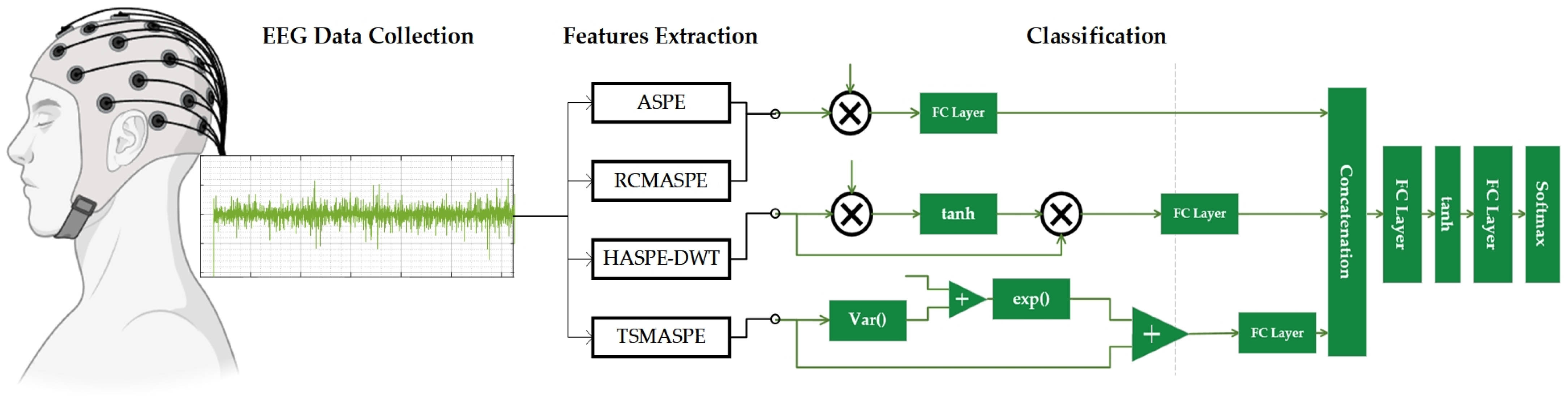 A Novel Co-Designed Multi-Domain Entropy and Its Dynamic Synapse