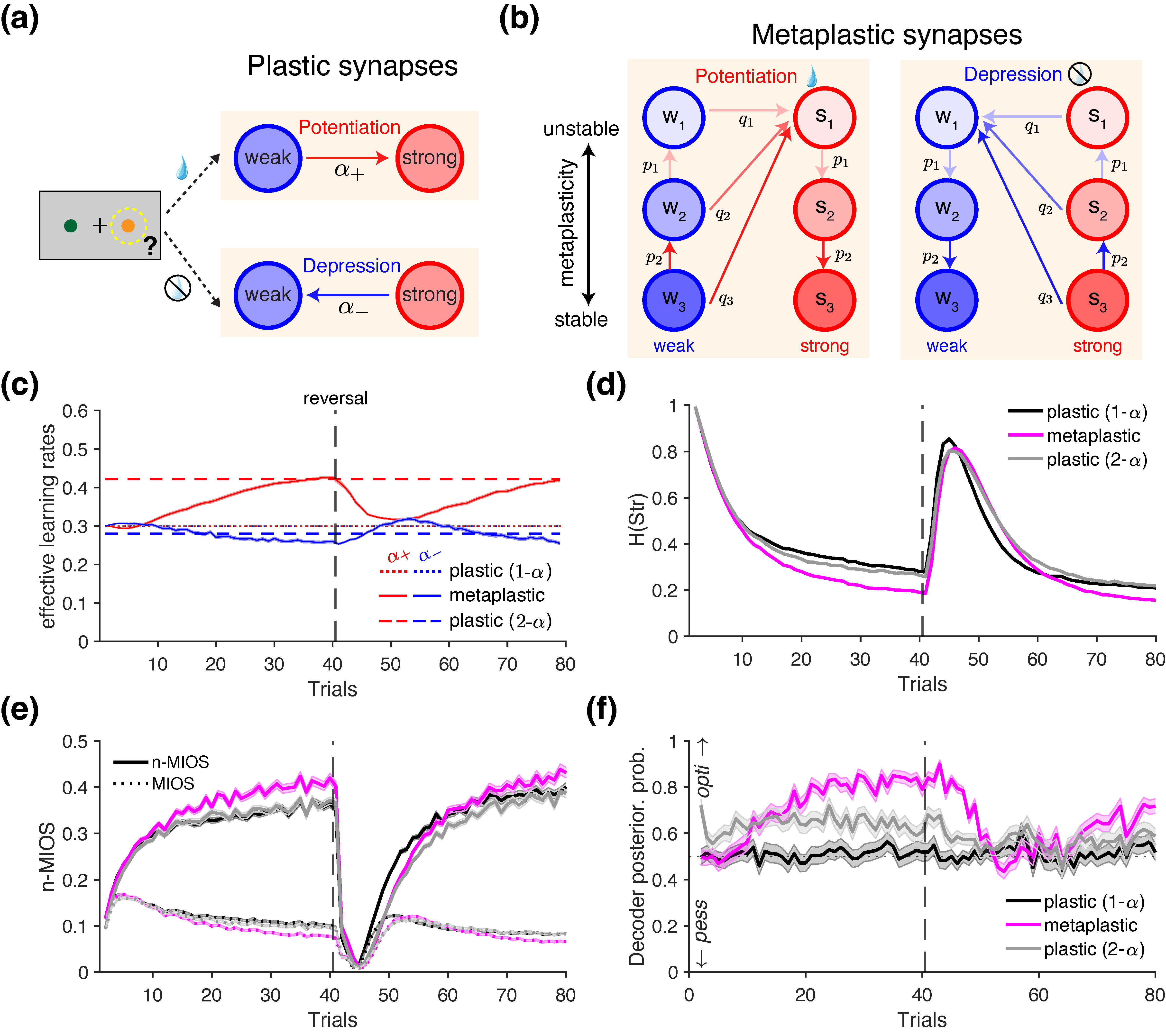 Entropy 27 01056 g004