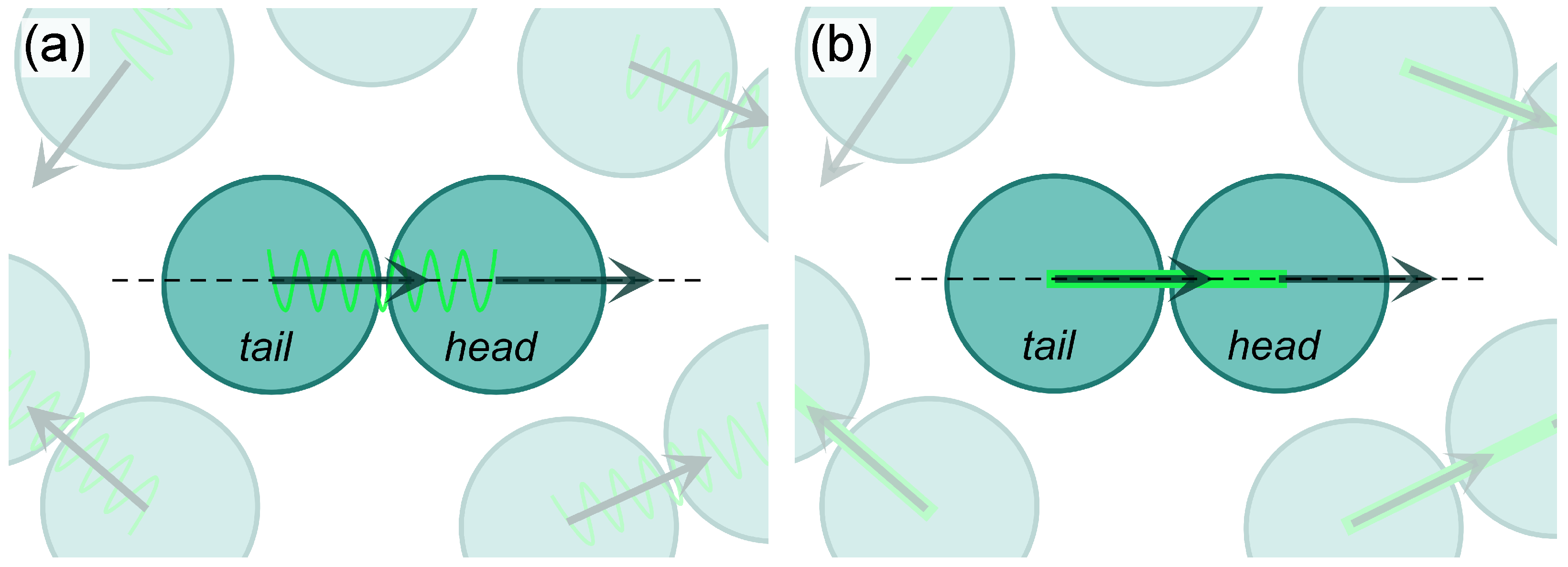 Entropy 27 01105 g001 Entropy 27 01105 g001