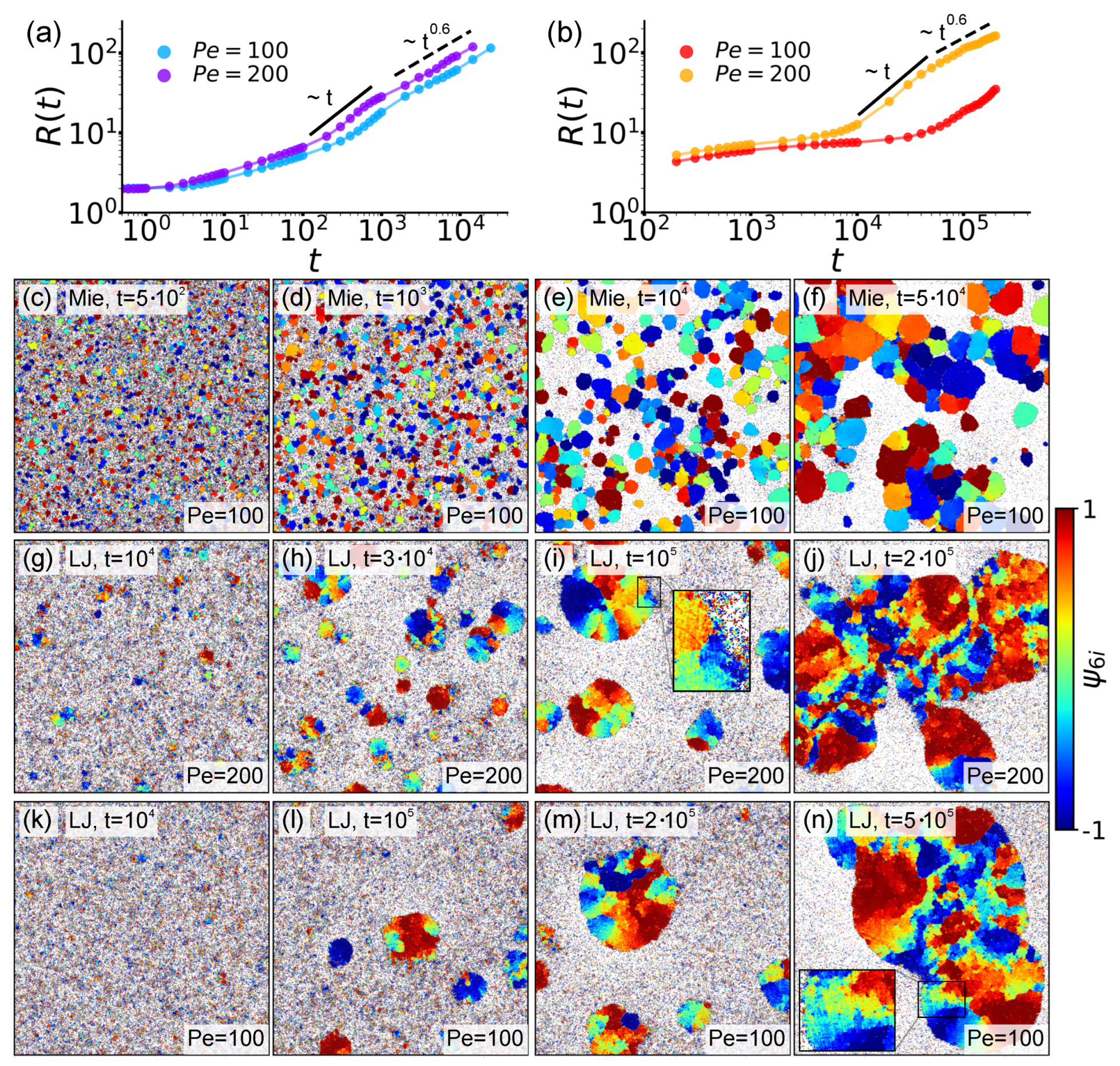 Entropy 27 01105 g002 Entropy 27 01105 g002