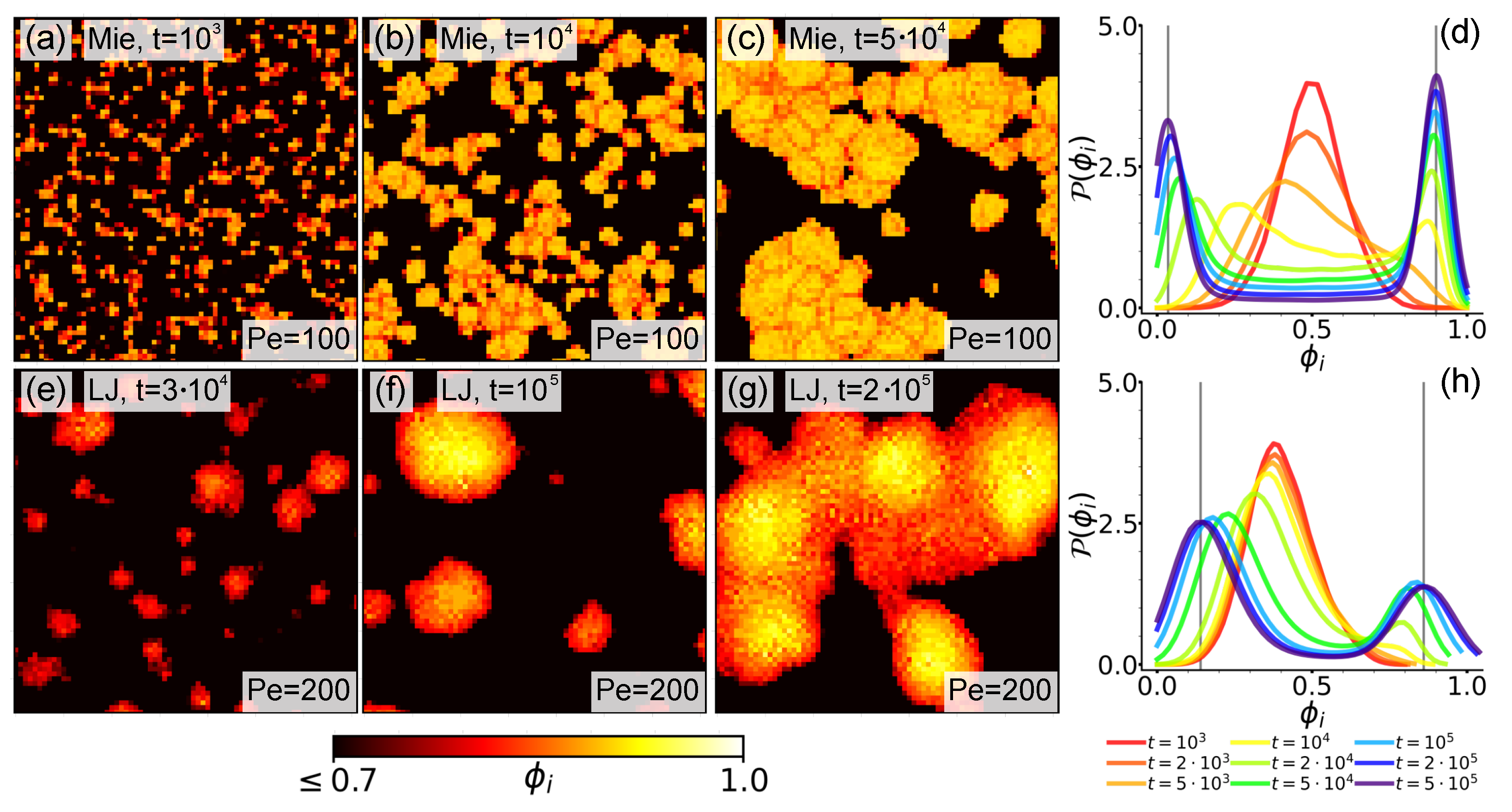 Entropy 27 01105 g004 Entropy 27 01105 g004