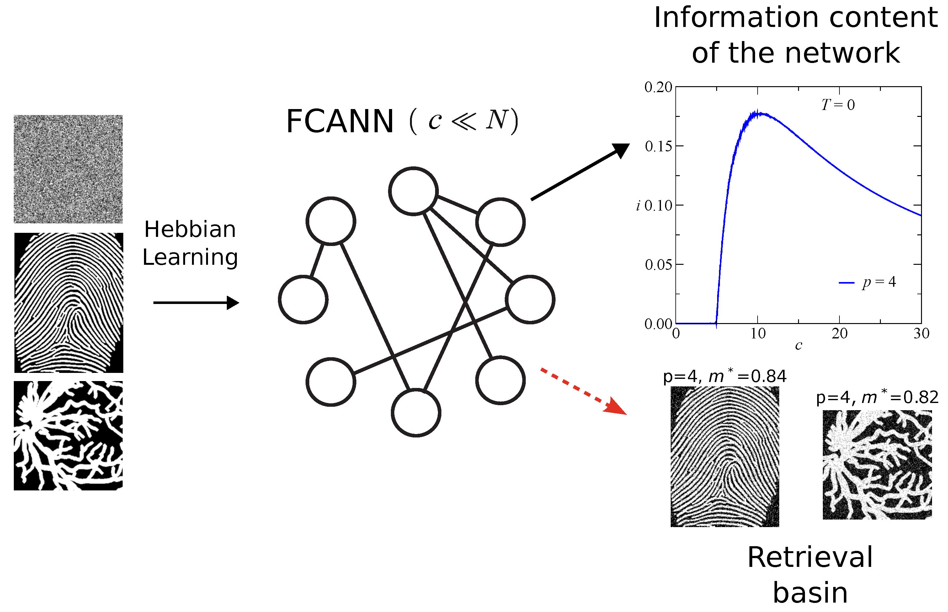 Entropy 27 01125 g001