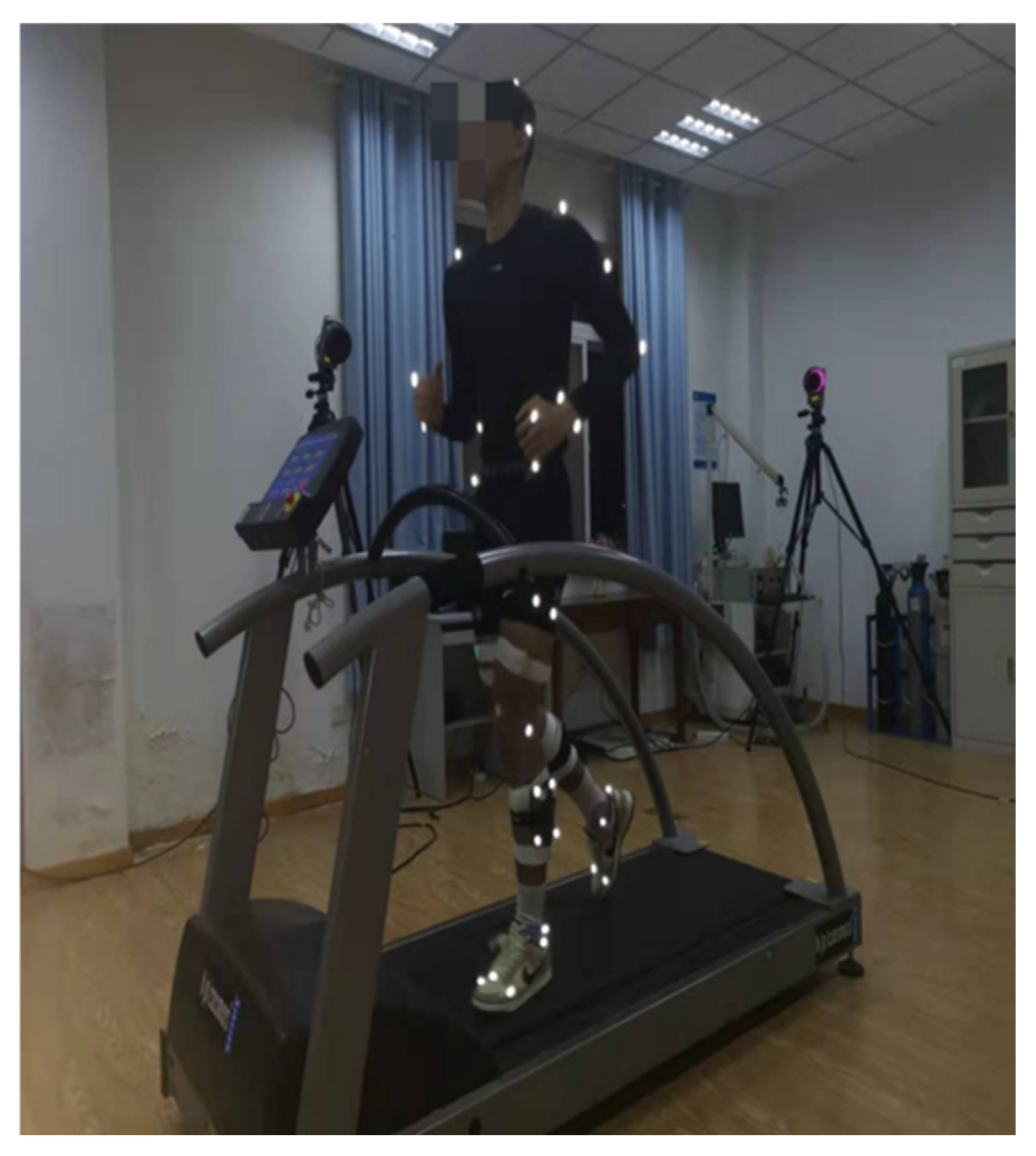 Entropy 27 01131 g001 Entropy 27 01131 g001