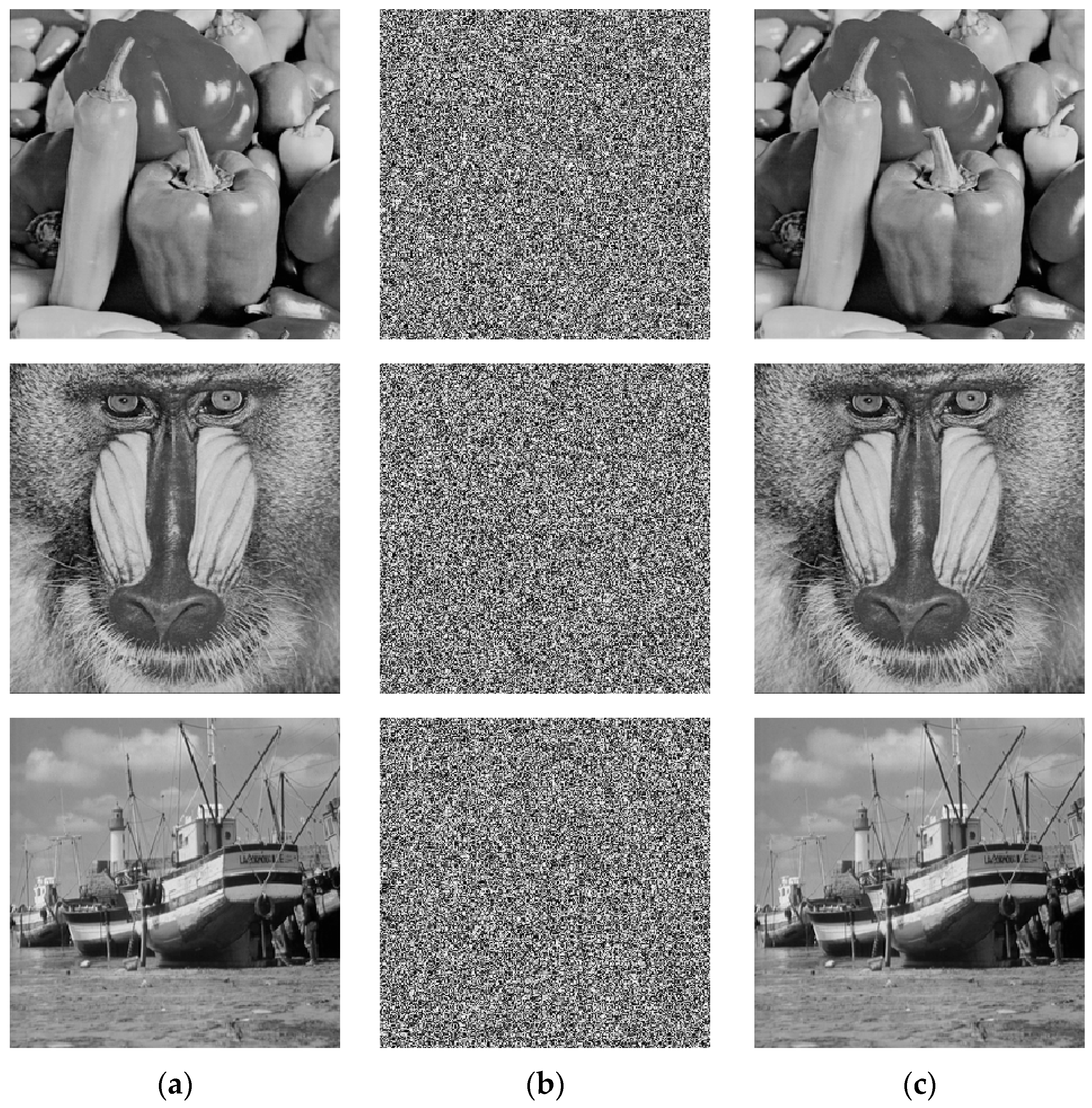 Entropy 27 01152 g005b Entropy 27 01152 g005b