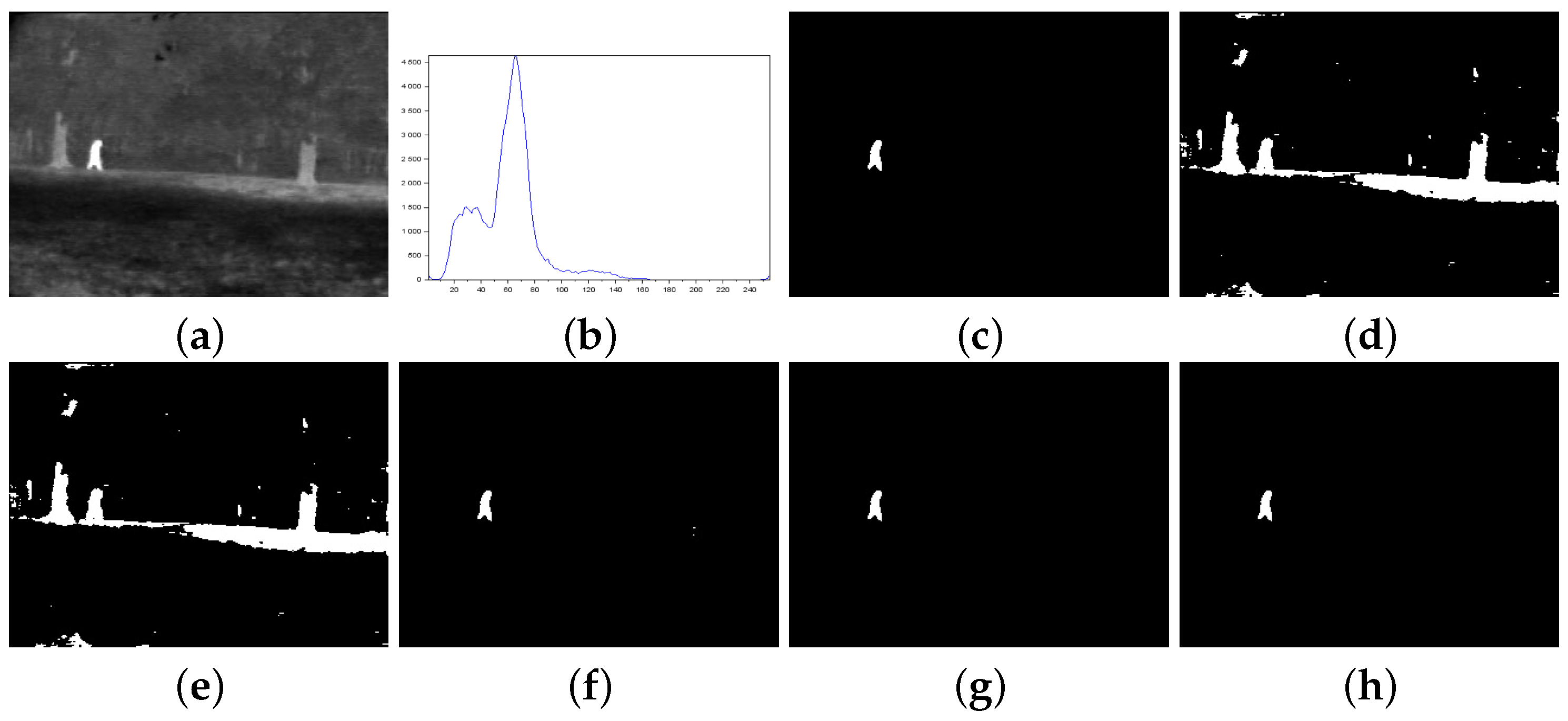 Entropy 27 01203 g003