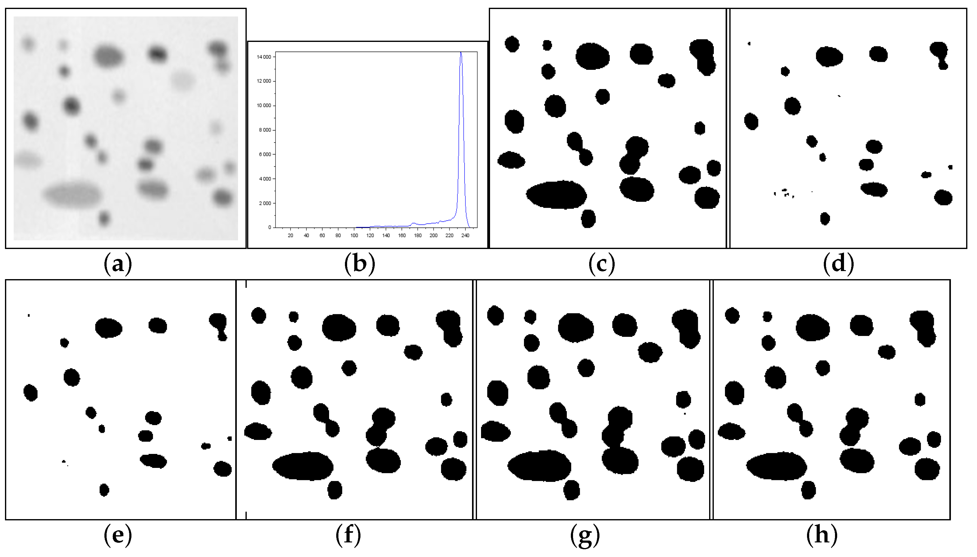 Entropy 27 01203 g012