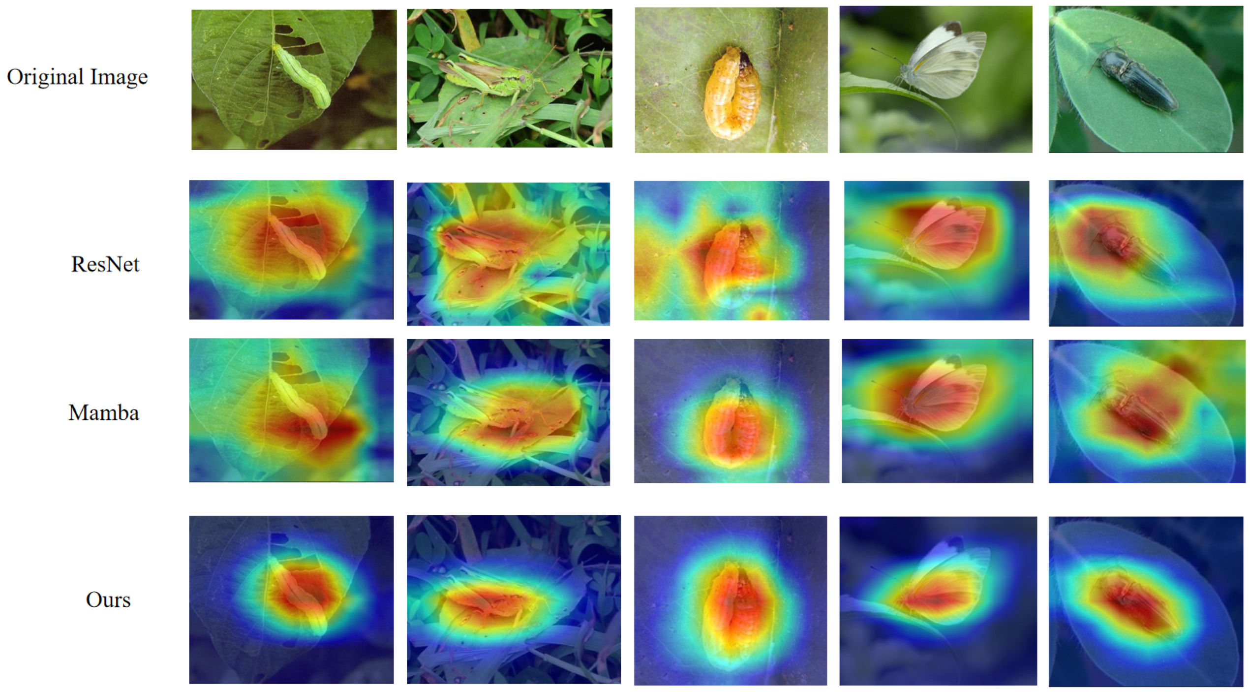 Entropy 27 01211 g008