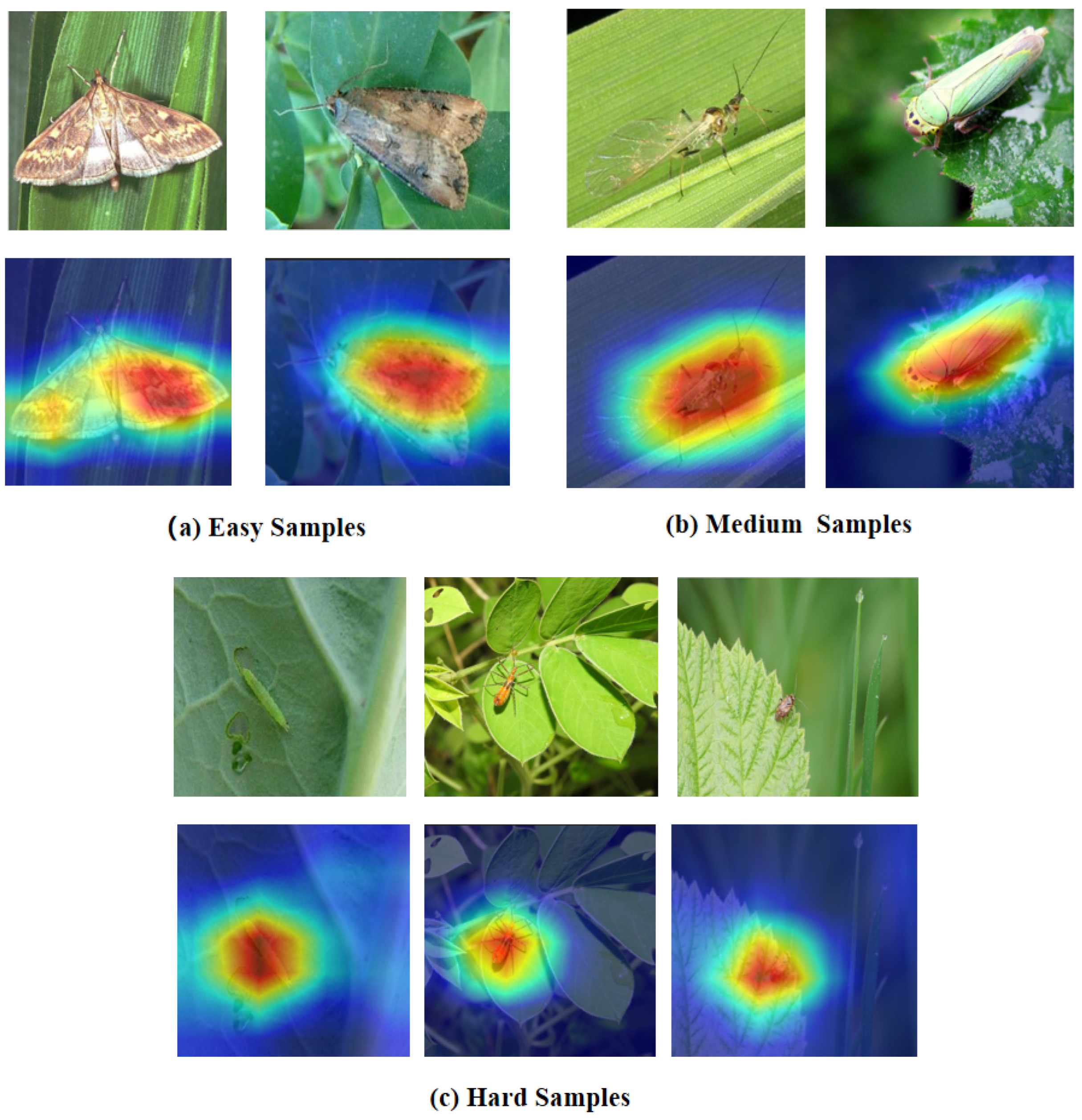 Entropy 27 01211 g011