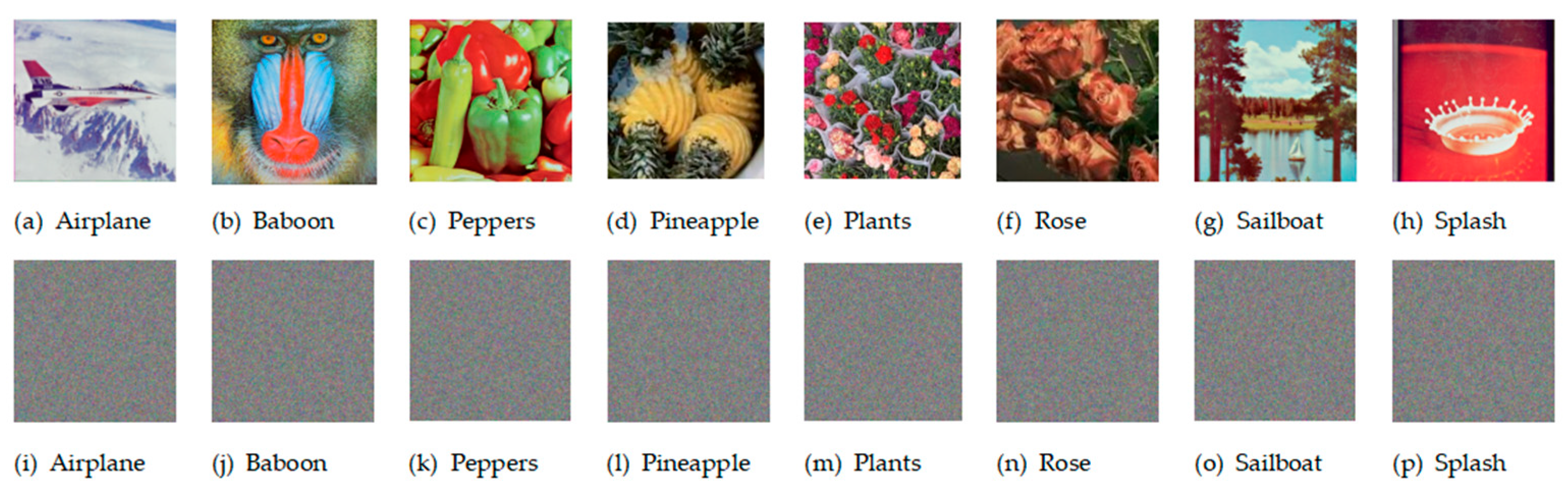 Entropy 27 01221 g007