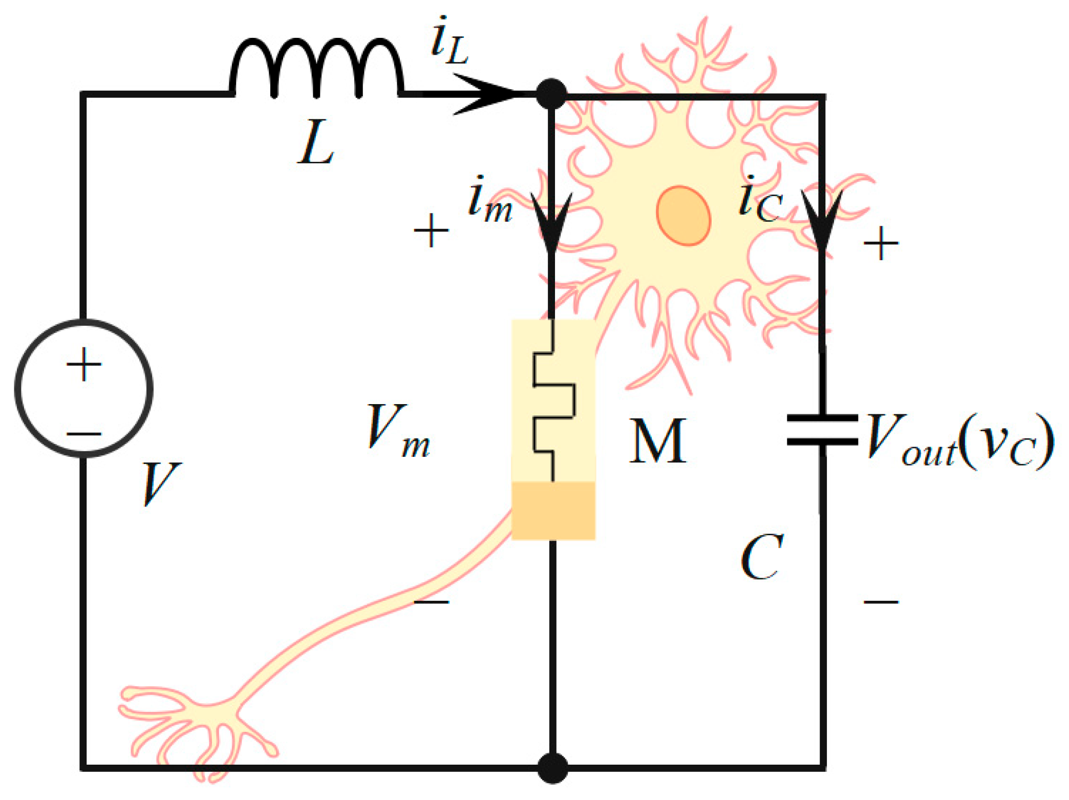 Entropy 28 00042 g003