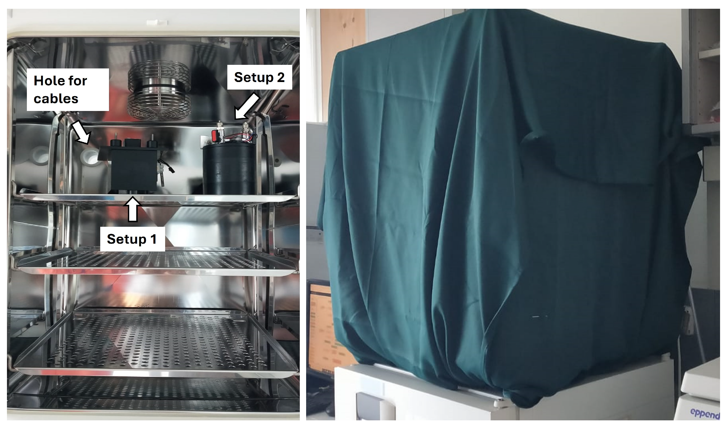 Entropy 28 00112 g001