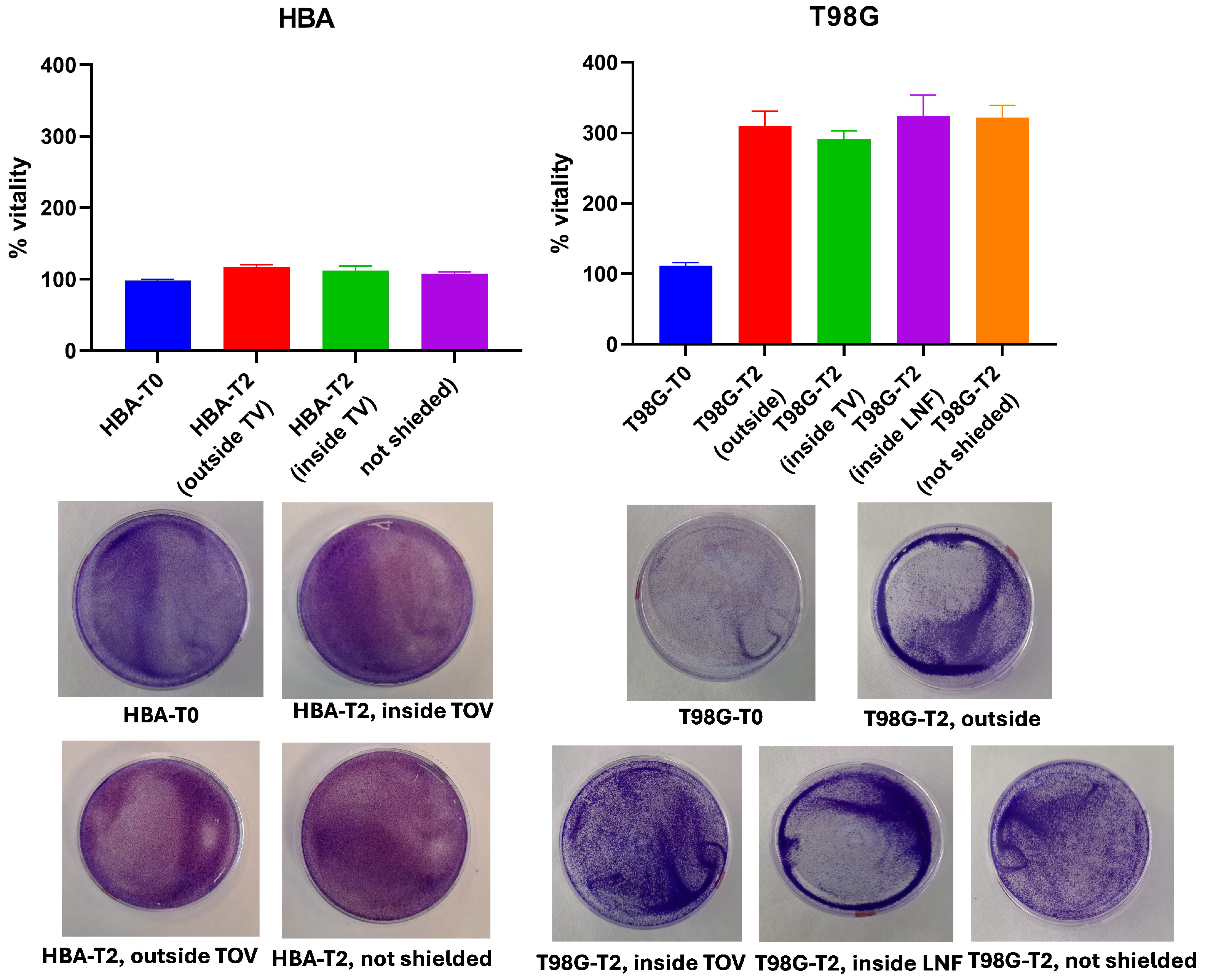 Entropy 28 00112 g006