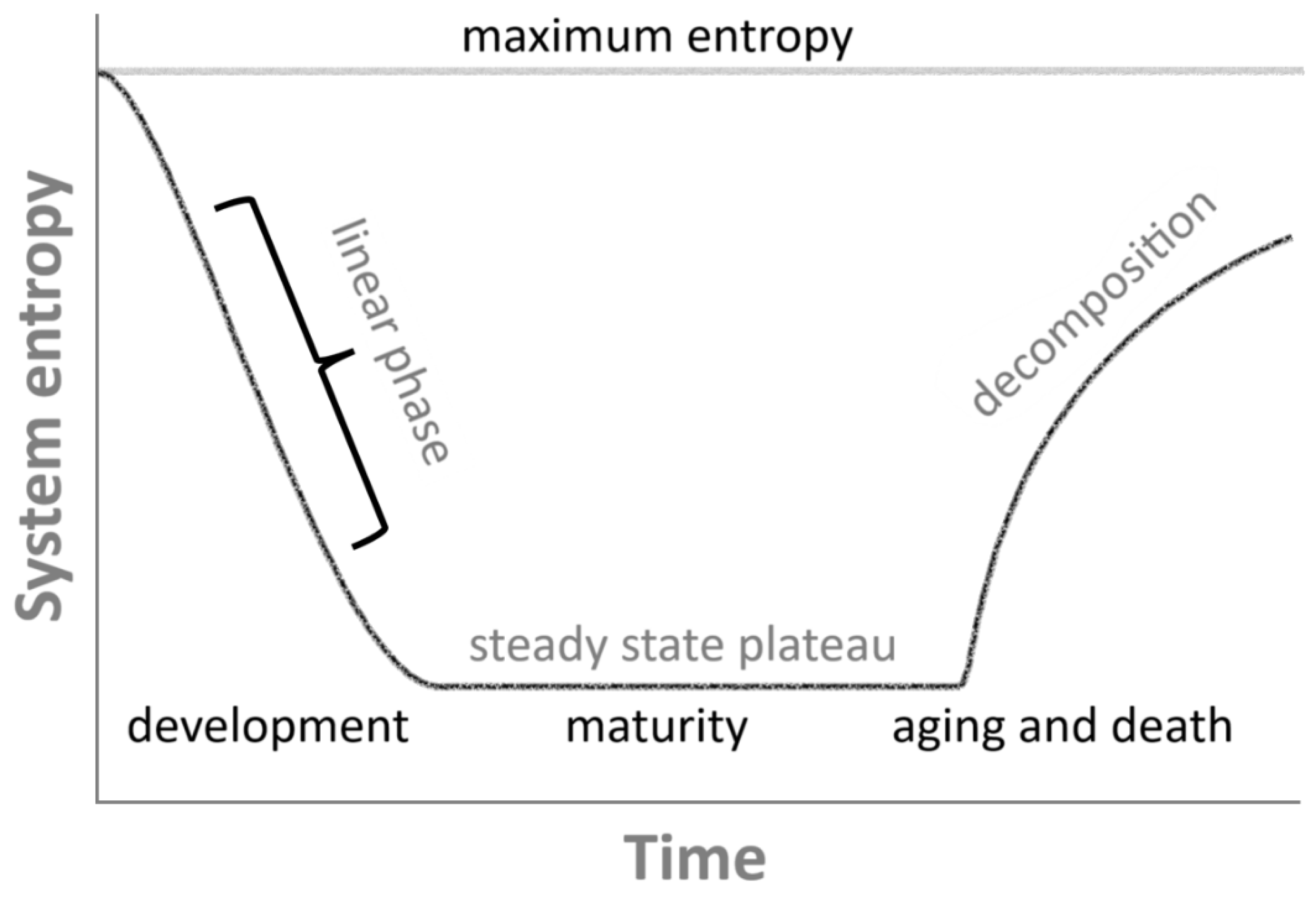 Entropy 28 00139 g001