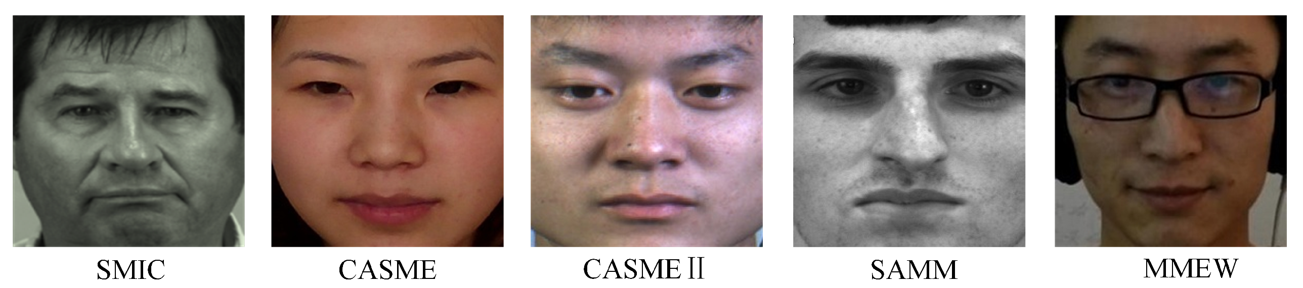 Entropy 28 00150 g002