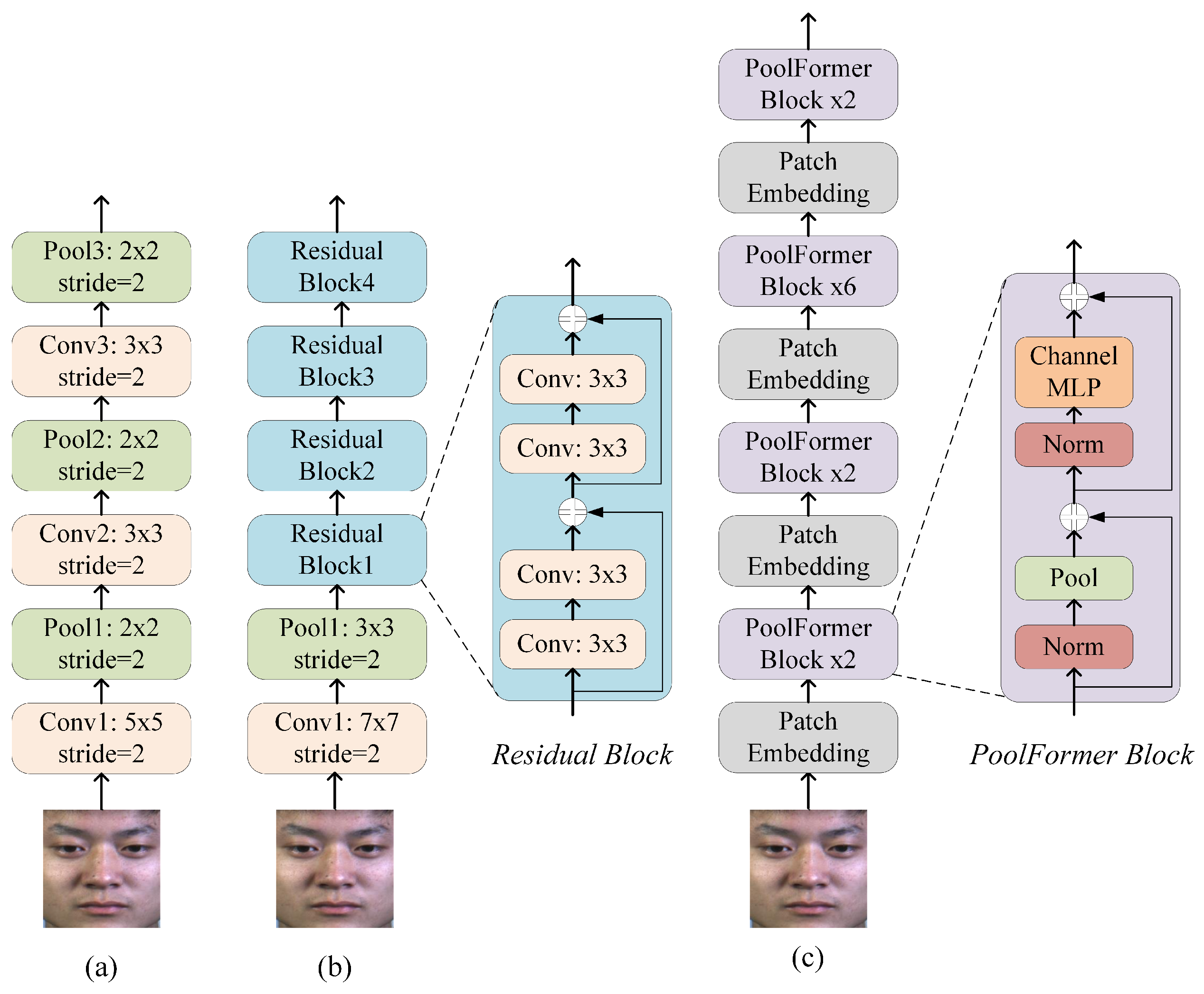 Entropy 28 00150 g006