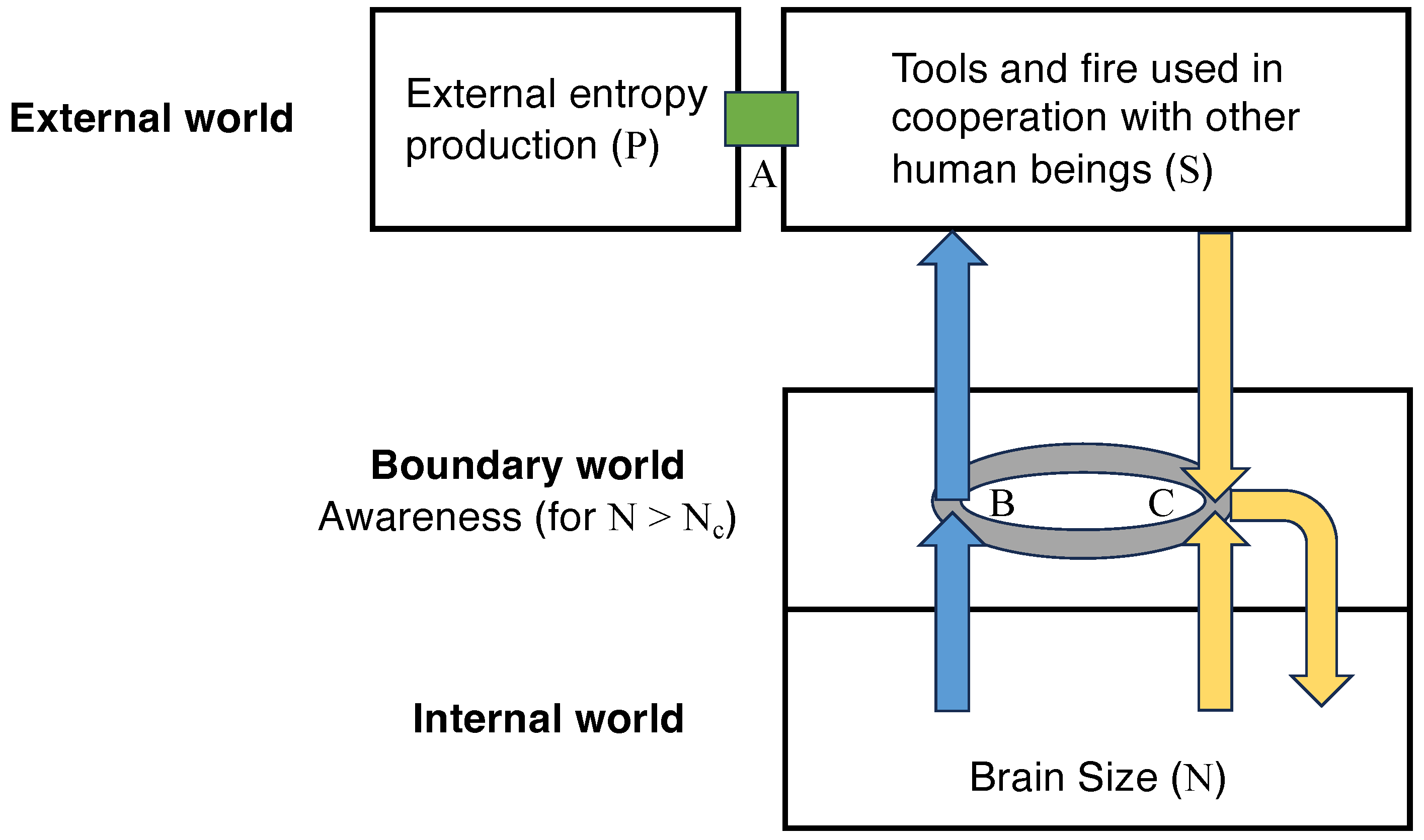 Entropy 28 00621 g002 Entropy 28 00621 g002