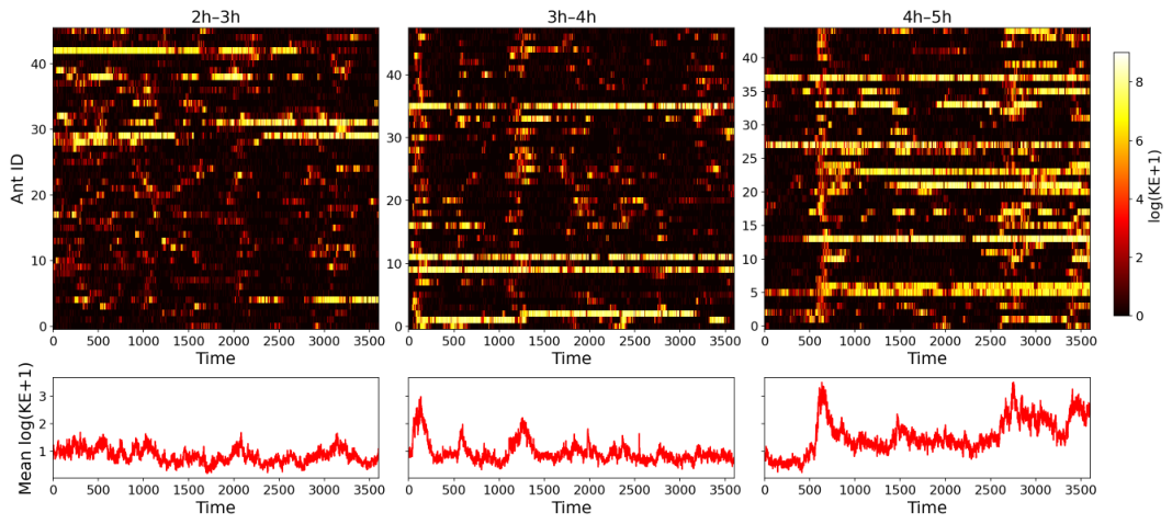 Entropy 28 00749 g006 Entropy 28 00749 g006
