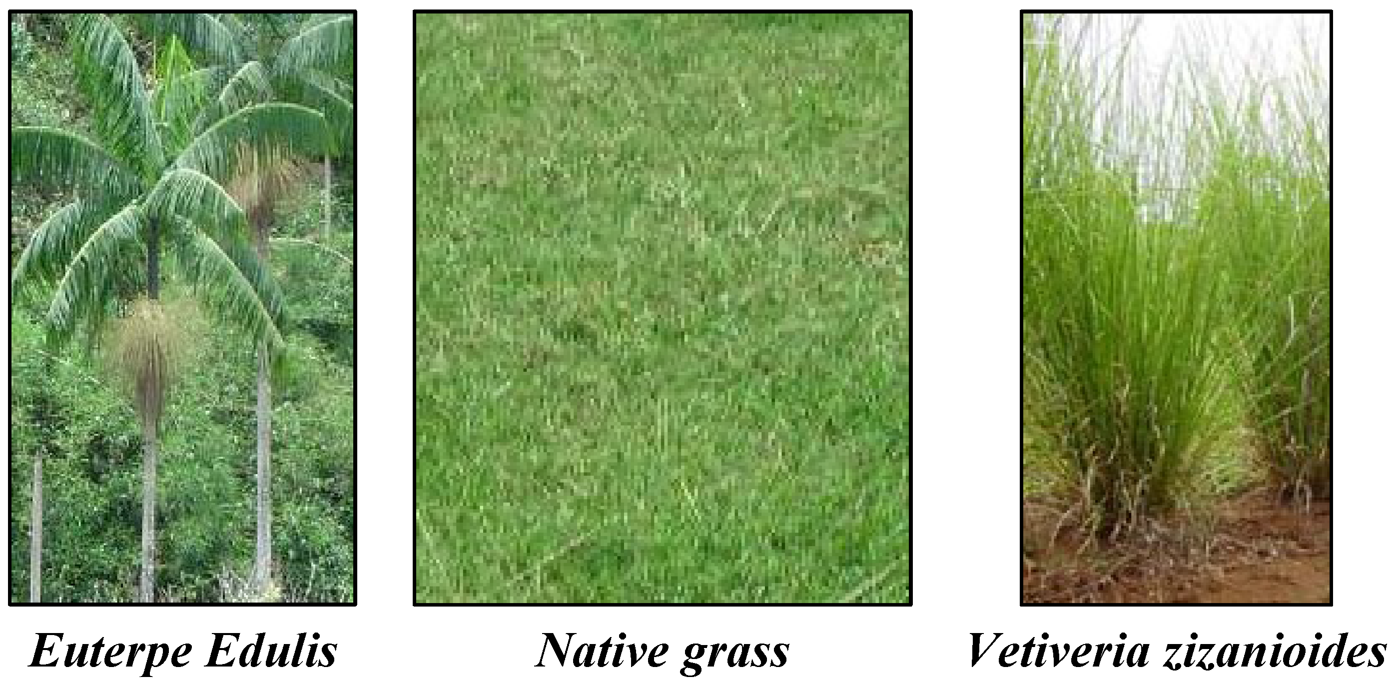 Environments 02 00489 g006 1024