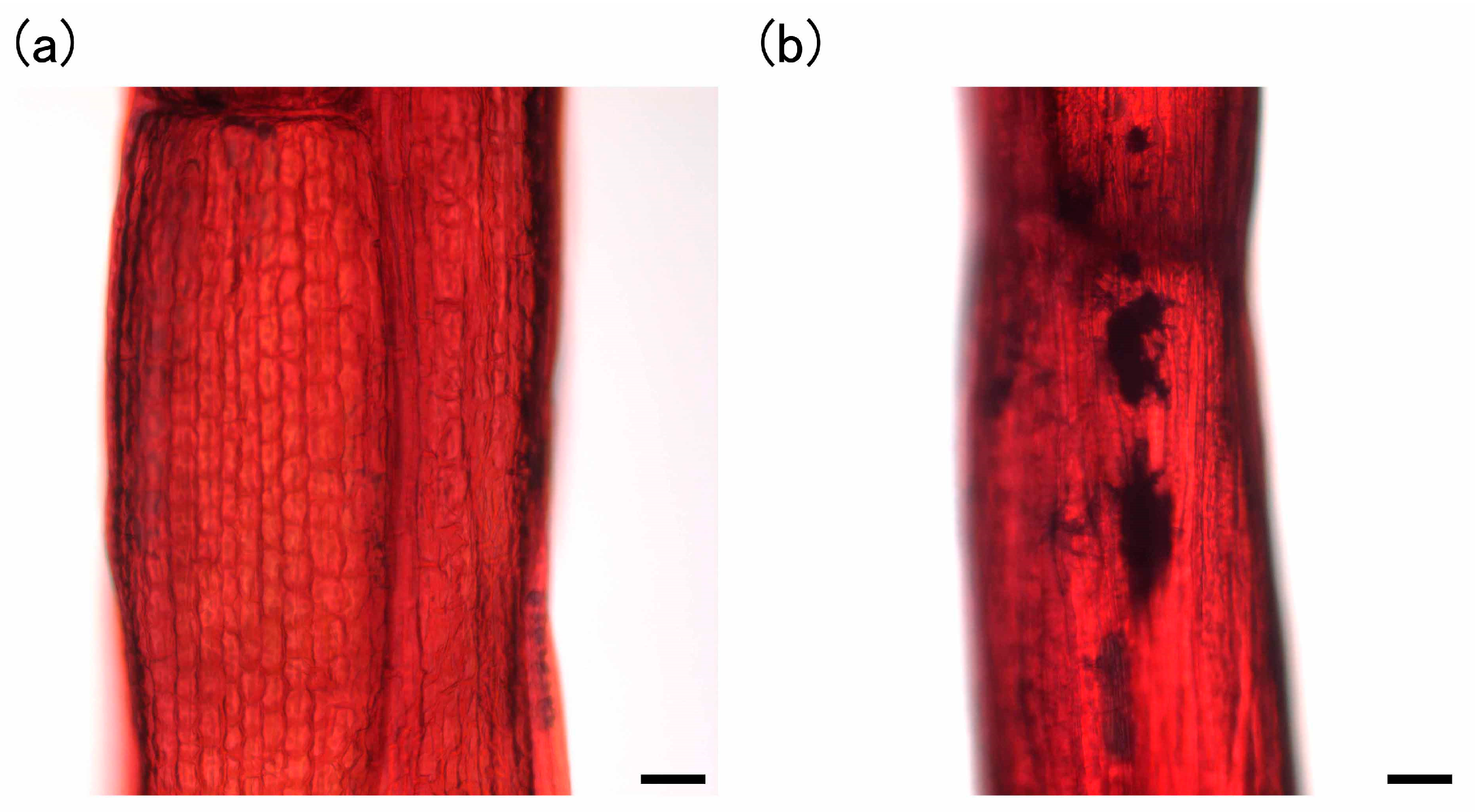 Environments 04 00040 g006a