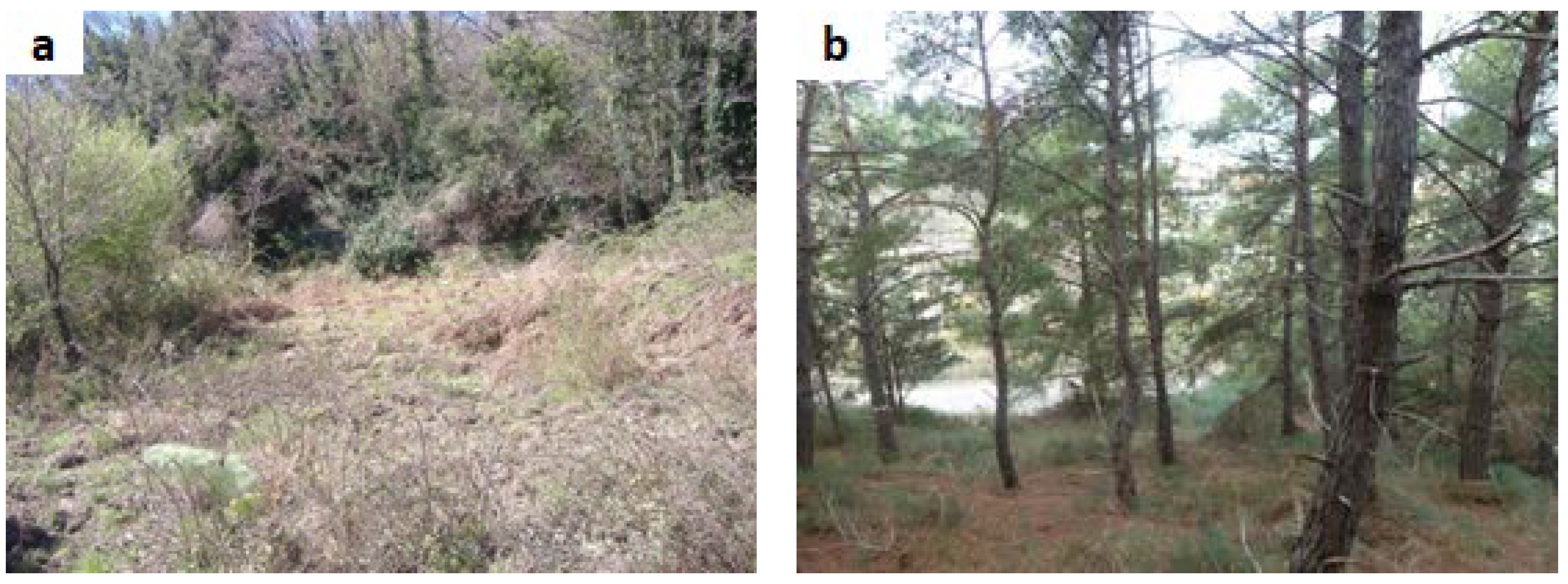 Environments 05 00079 g003